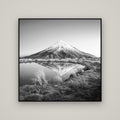 To a Point, Mount Taranaki — Basel Black, 120×120 cm. New Zealand fine art wall art by Stephen Milner.