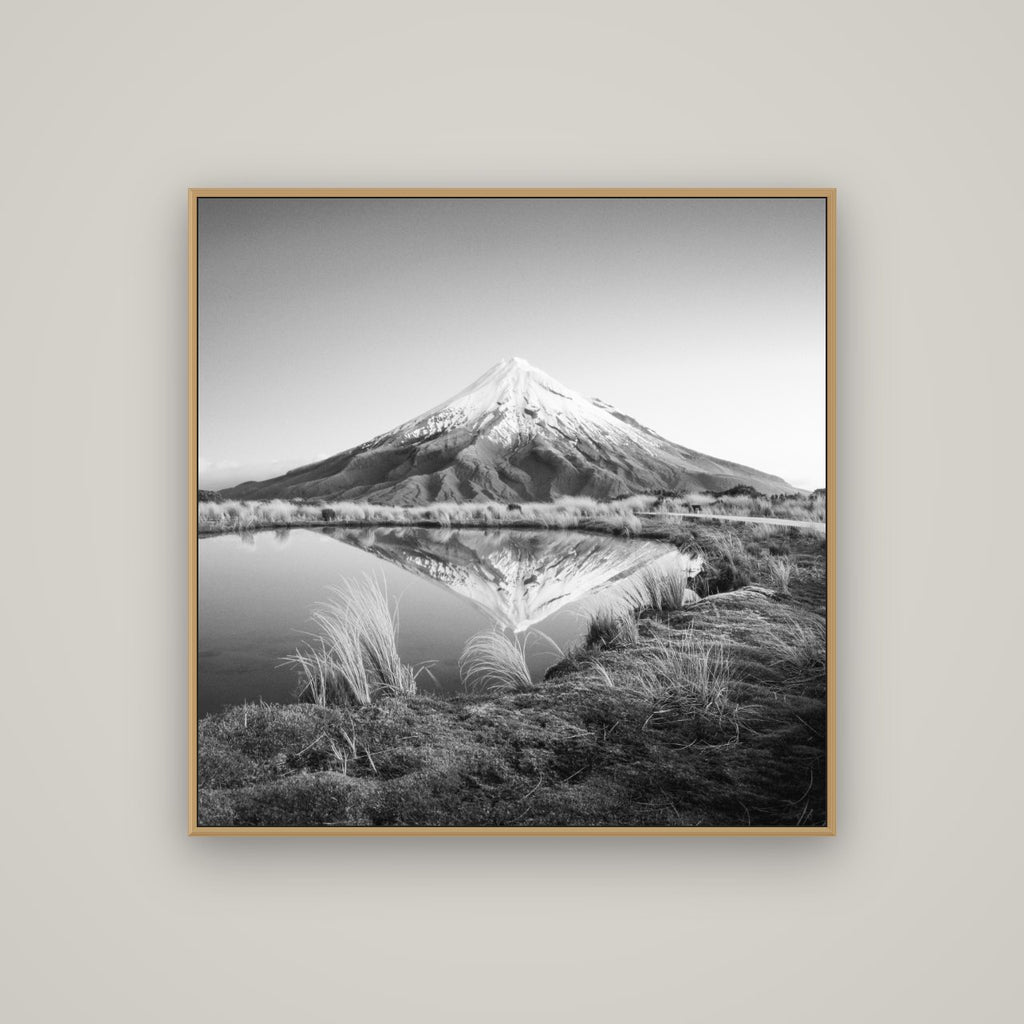 To a Point, Mount Taranaki, Basel Natural Oak, 100×100 cm. New Zealand fine art wall art by Stephen Milner.