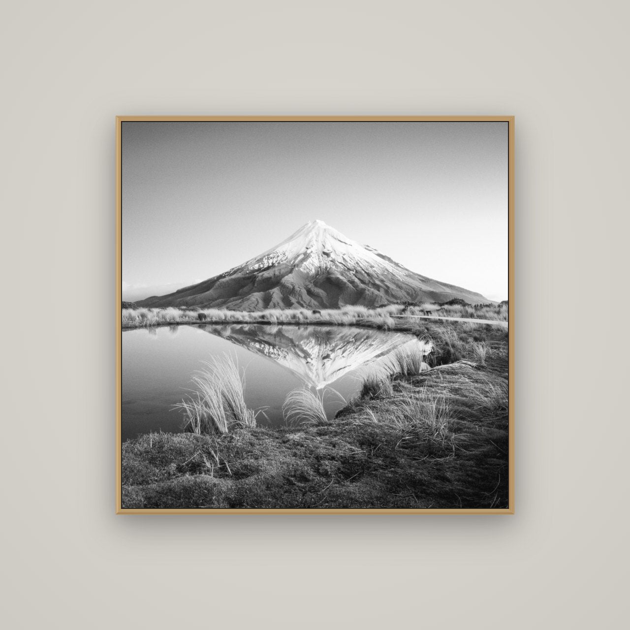 To a Point, Mount Taranaki, Basel Natural Oak, 100×100 cm. New Zealand fine art wall art by Stephen Milner.