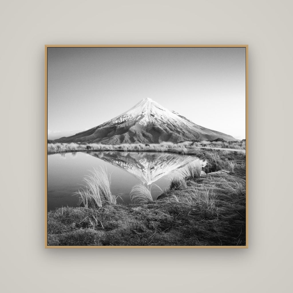 To a Point, Mount Taranaki, Basel Natural Oak, 120×120 cm. New Zealand fine art wall art by Stephen Milner.