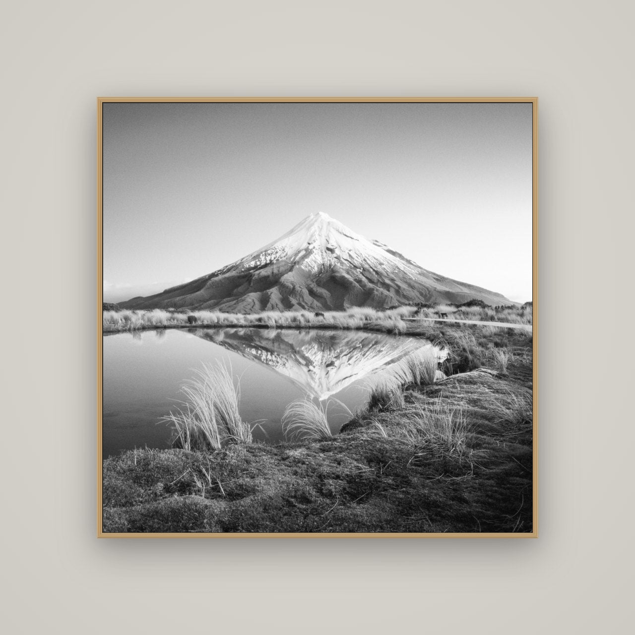 To a Point, Mount Taranaki, Basel Natural Oak, 120×120 cm. New Zealand fine art wall art by Stephen Milner.