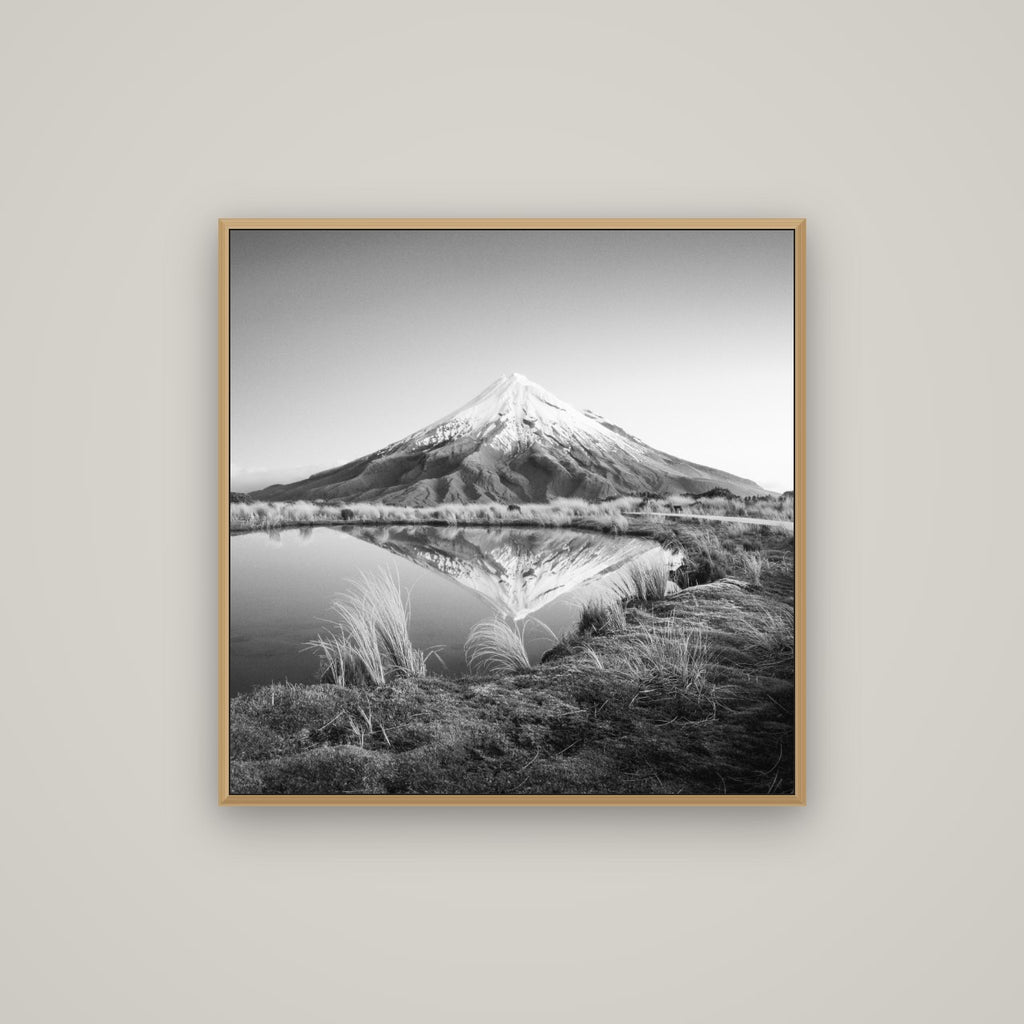 To a Point, Mount Taranaki, Basel Natural Oak, 80×80 cm. New Zealand fine art wall art by Stephen Milner.