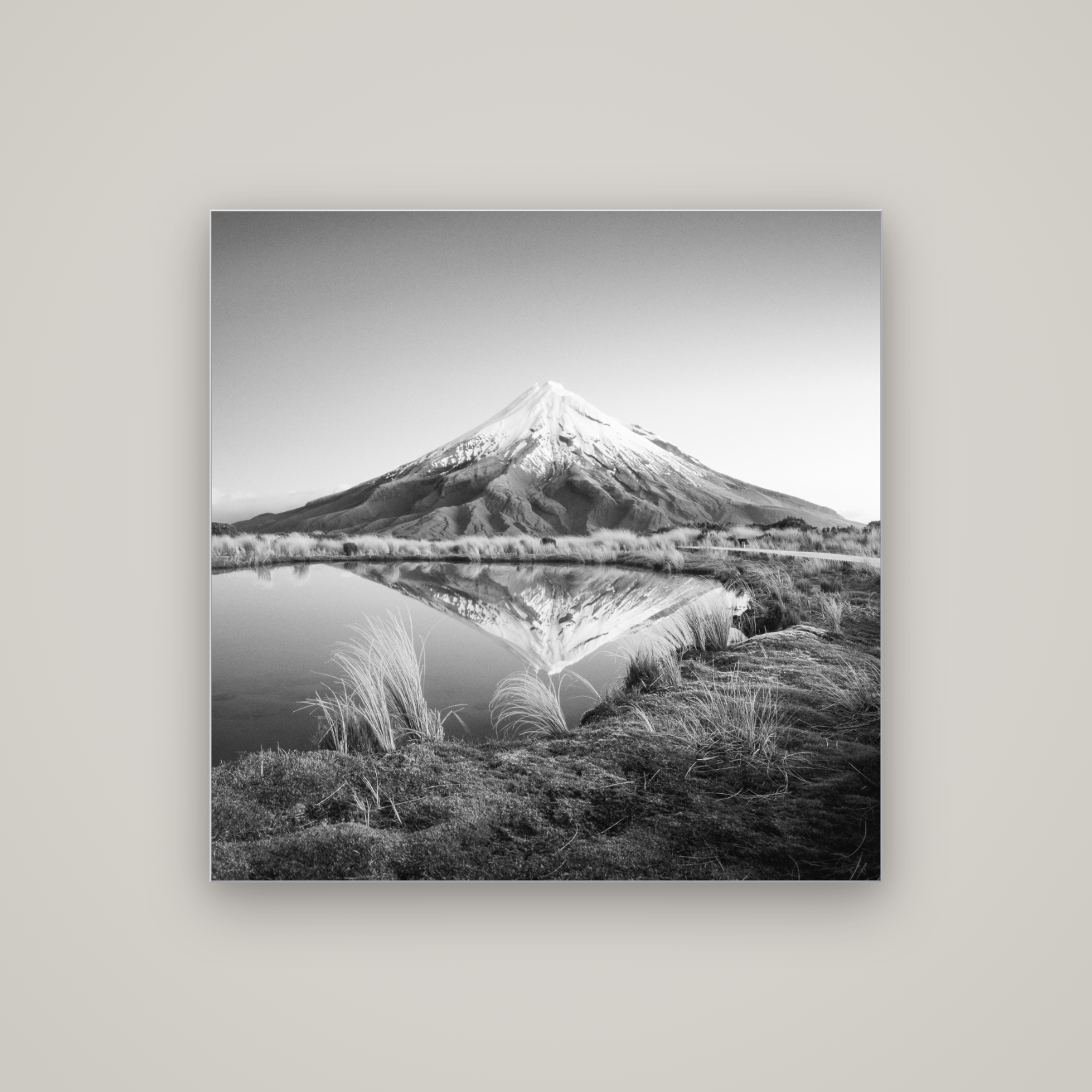 To a Point, Mount Taranaki — Slimline Silver, 100×100 cm. New Zealand fine art wall art by Stephen Milner.