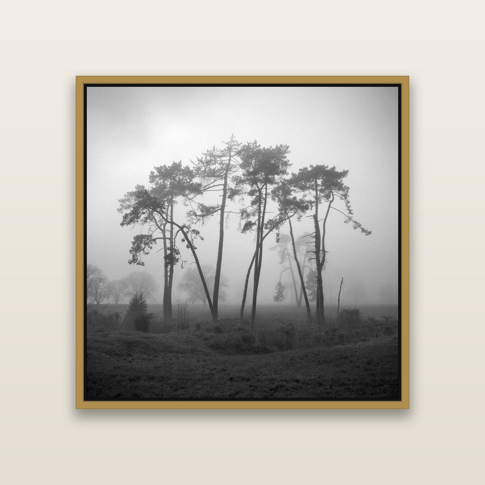 Together, Waikato — Antique Gold framed metallic canvas print, small 41 × 41 cm. New Zealand fine art landscape wall art by Stephen Milner.