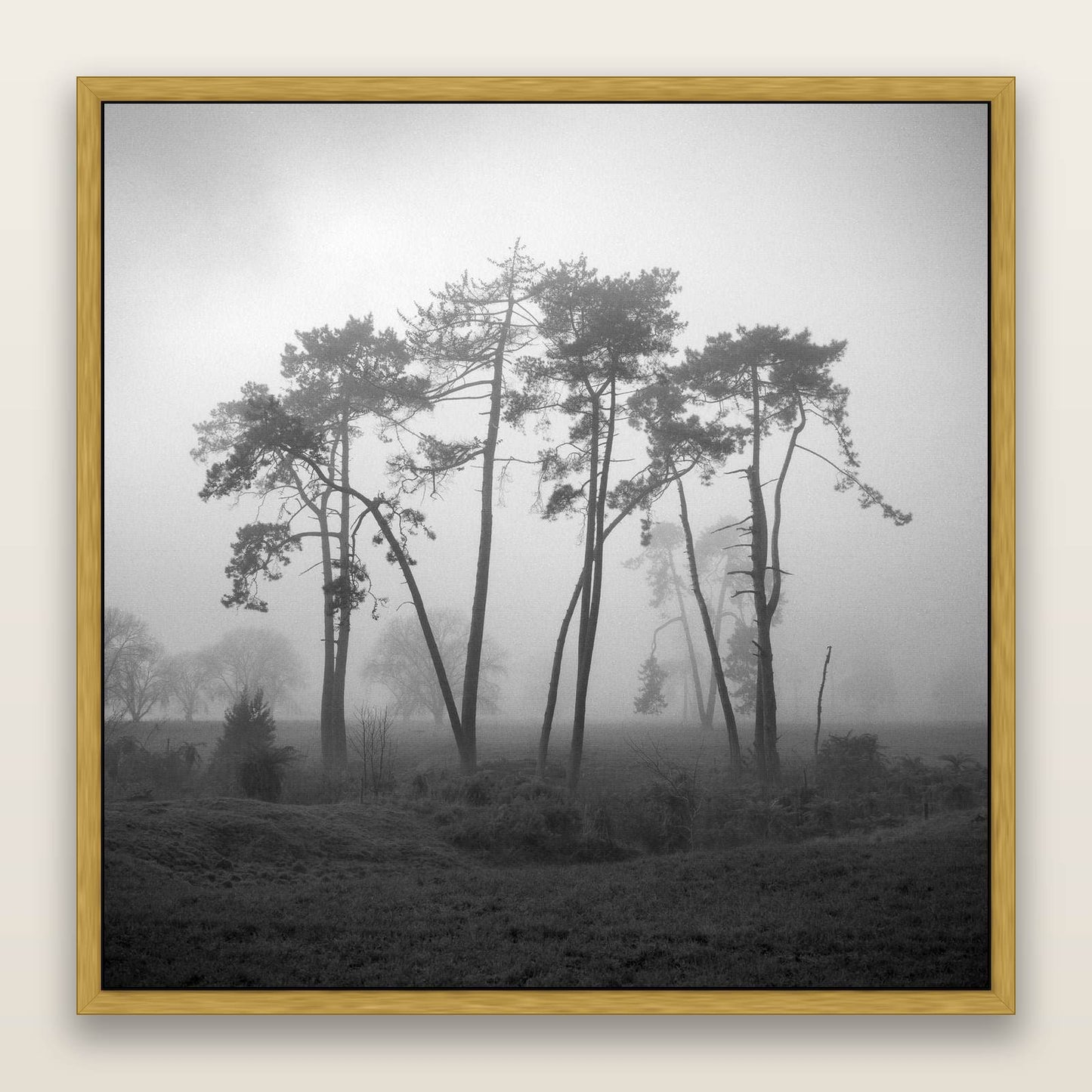 Together, Waikato — framed metallic canvas print, Antique Gold frame. New Zealand fine art landscape wall art by Stephen Milner.