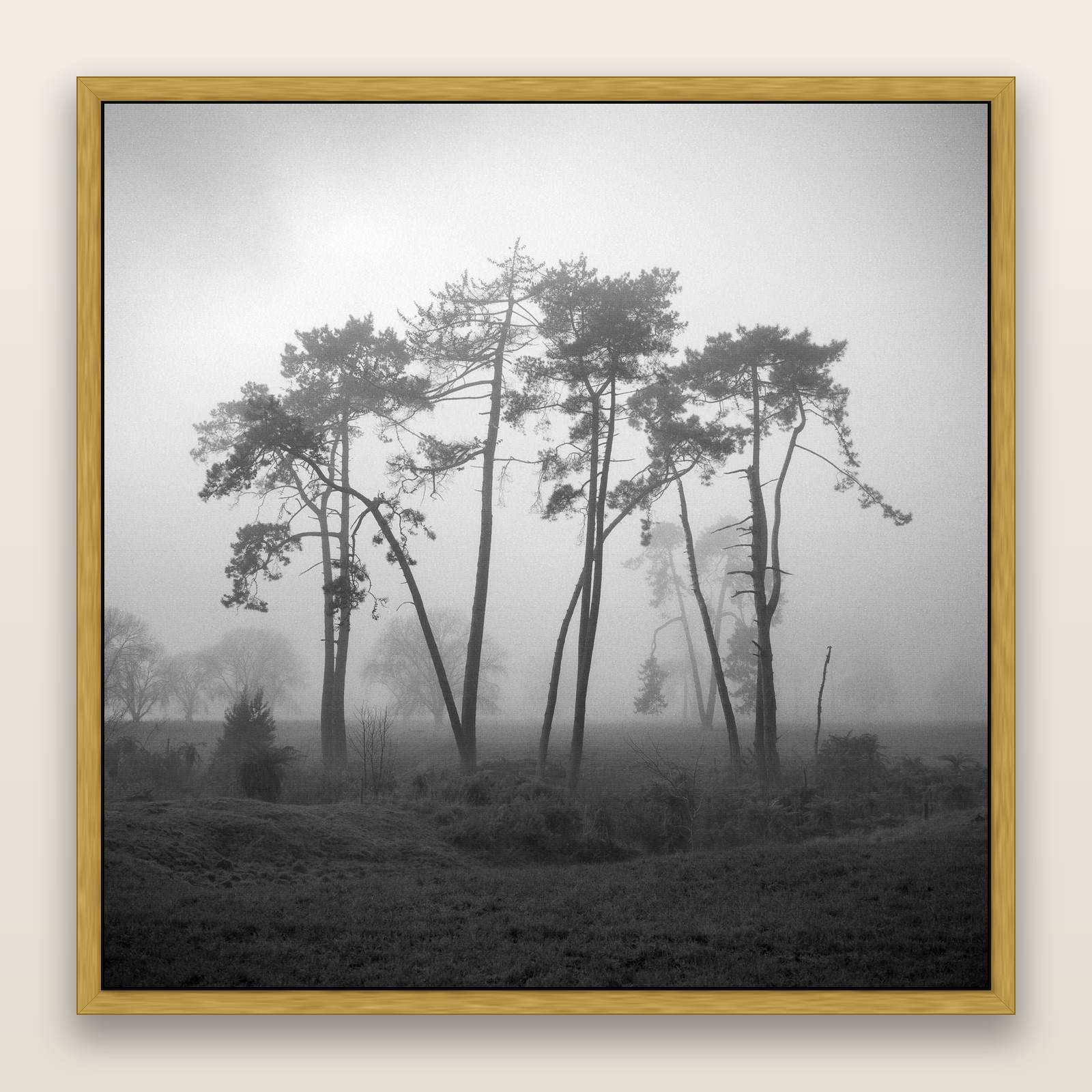 Together, Waikato, framed metallic canvas print, Antique Gold frame. New Zealand fine art landscape wall art by Stephen Milner.
