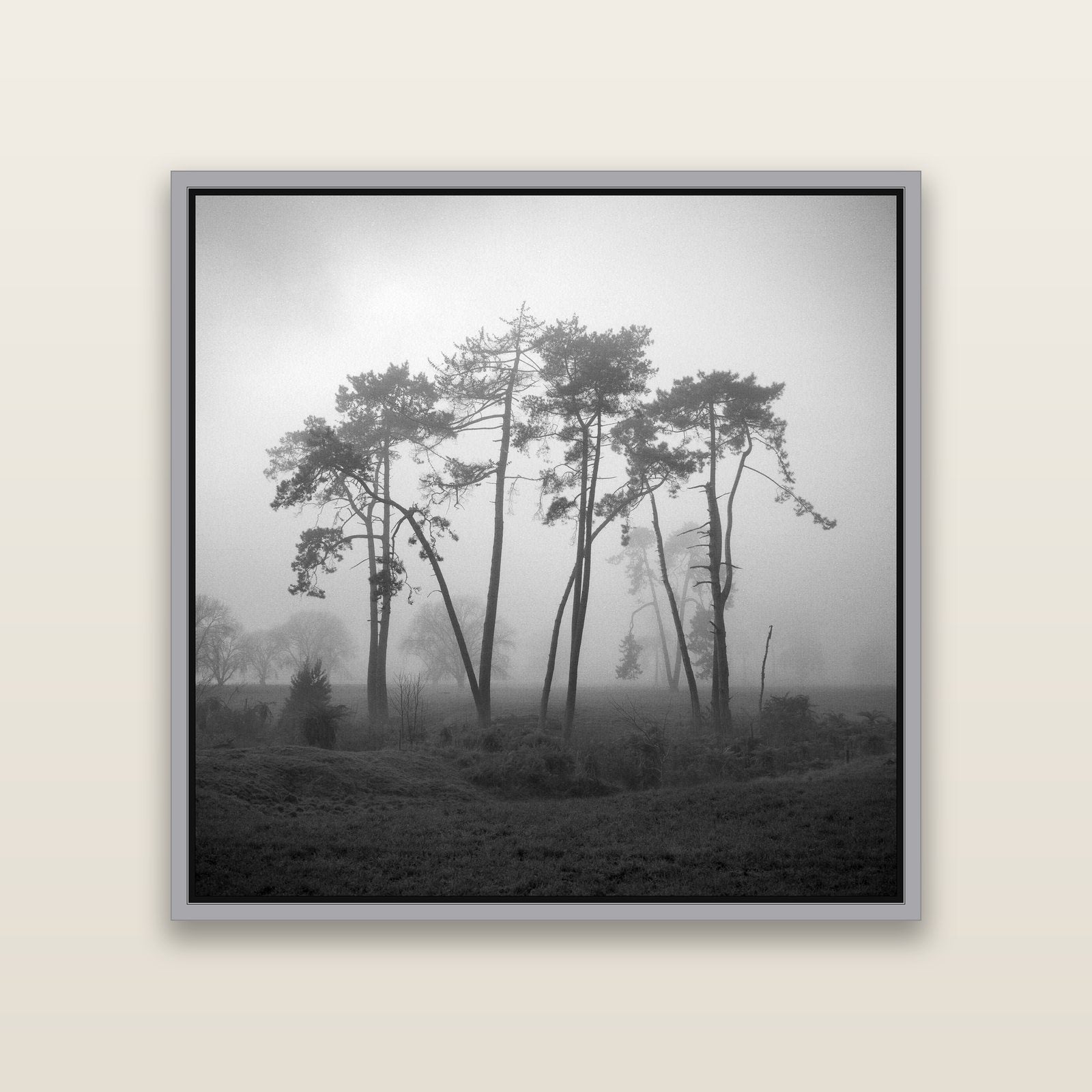 Together, Waikato — Antique Silver framed metallic canvas print, small 41 × 41 cm. New Zealand fine art landscape wall art by Stephen Milner.