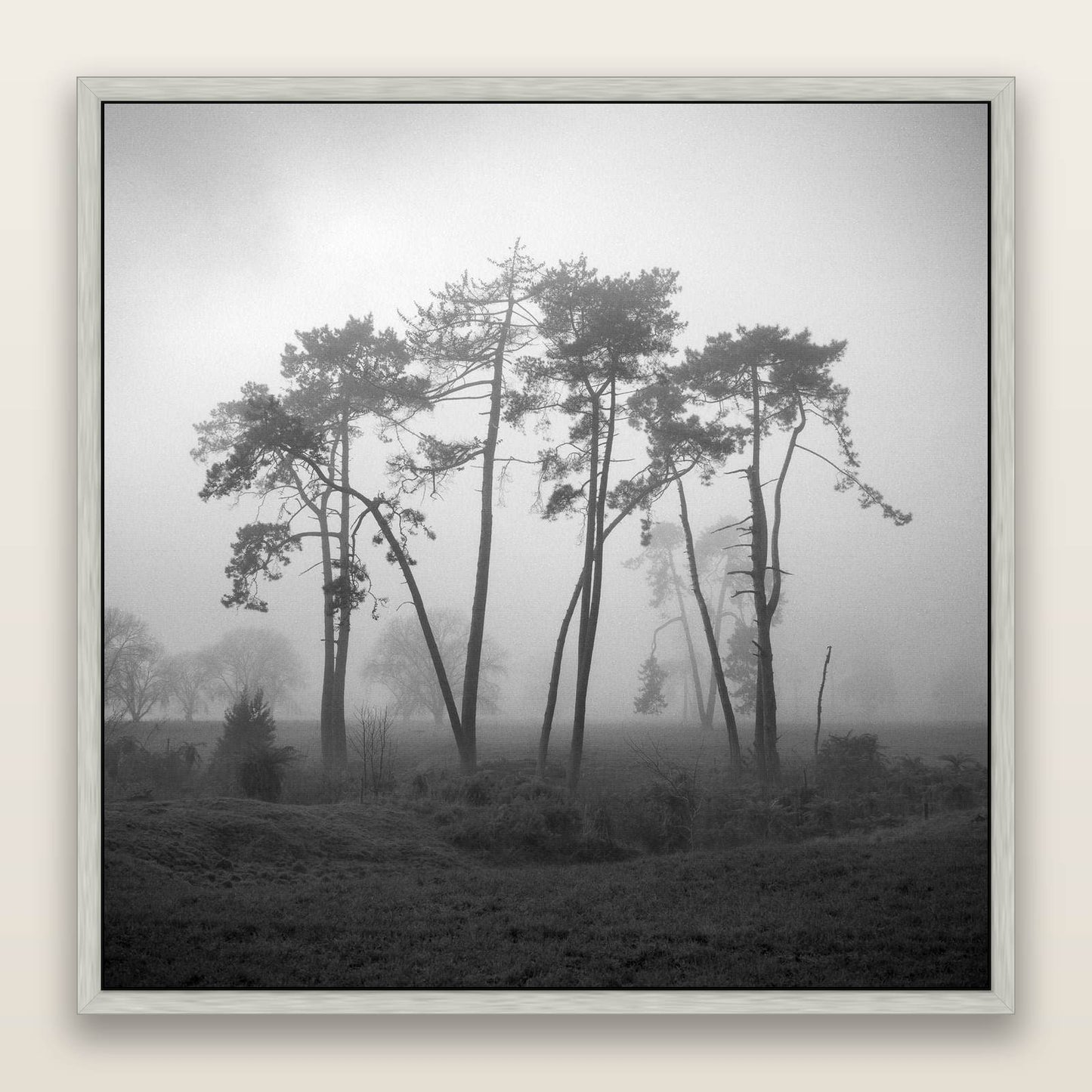 Together, Waikato — framed metallic canvas print, Antique Silver frame. New Zealand fine art landscape wall art by Stephen Milner.