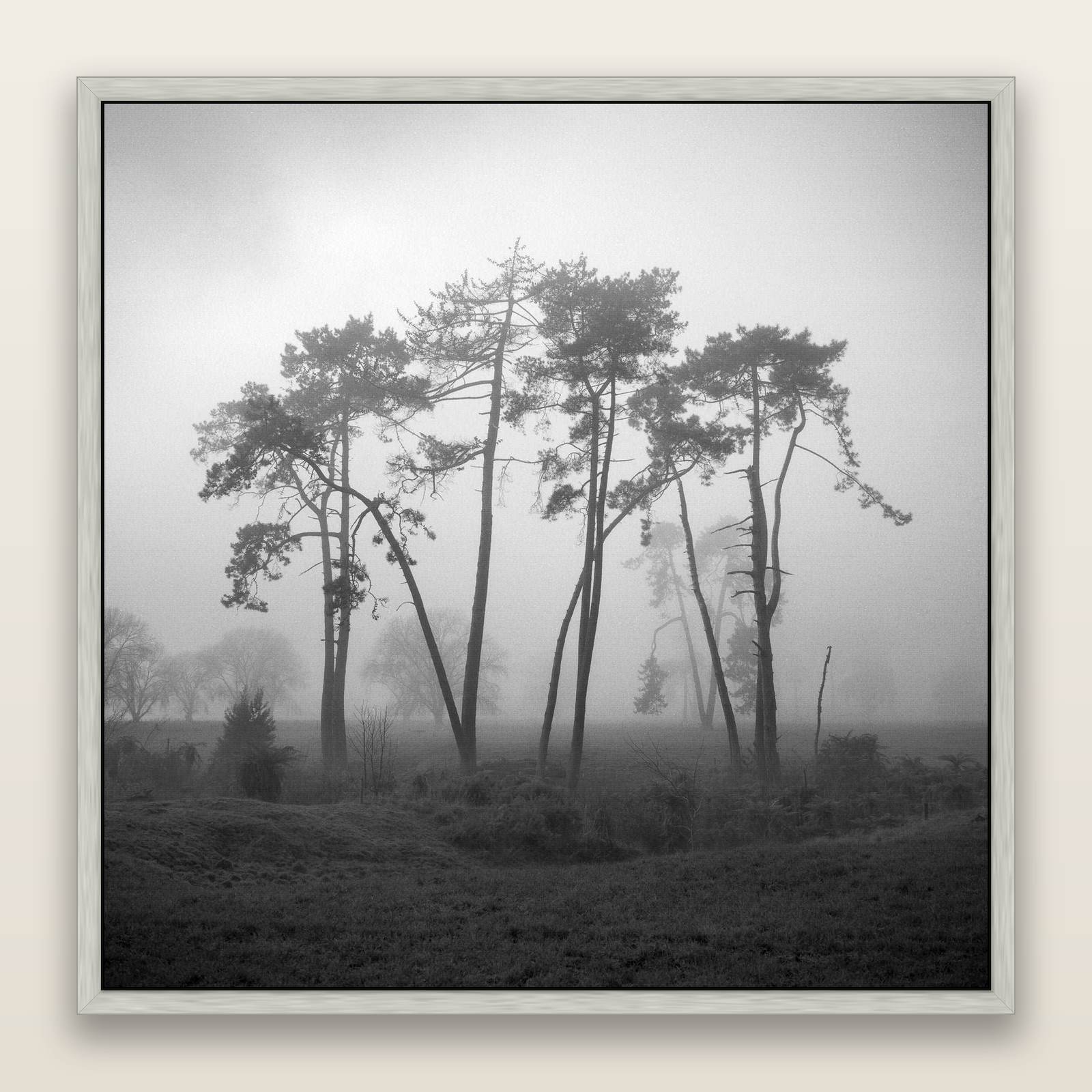 Together, Waikato, framed metallic canvas print, Antique Silver frame. New Zealand fine art landscape wall art by Stephen Milner.