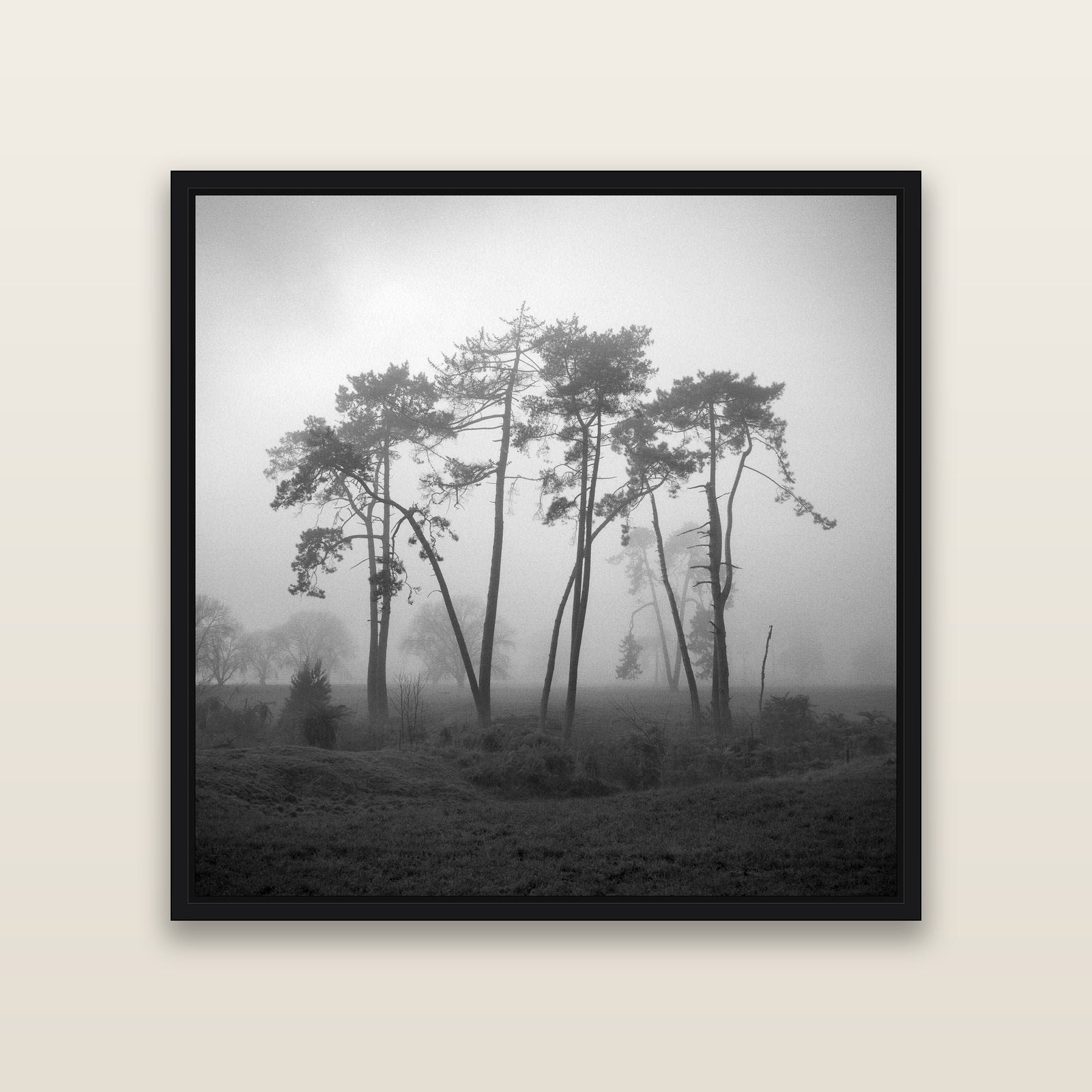 Together, Waikato — Black framed metallic canvas print, small 41 × 41 cm. New Zealand fine art landscape wall art by Stephen Milner.