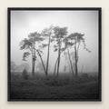 Together, Waikato, framed metallic canvas print, Black frame. New Zealand fine art landscape wall art by Stephen Milner.