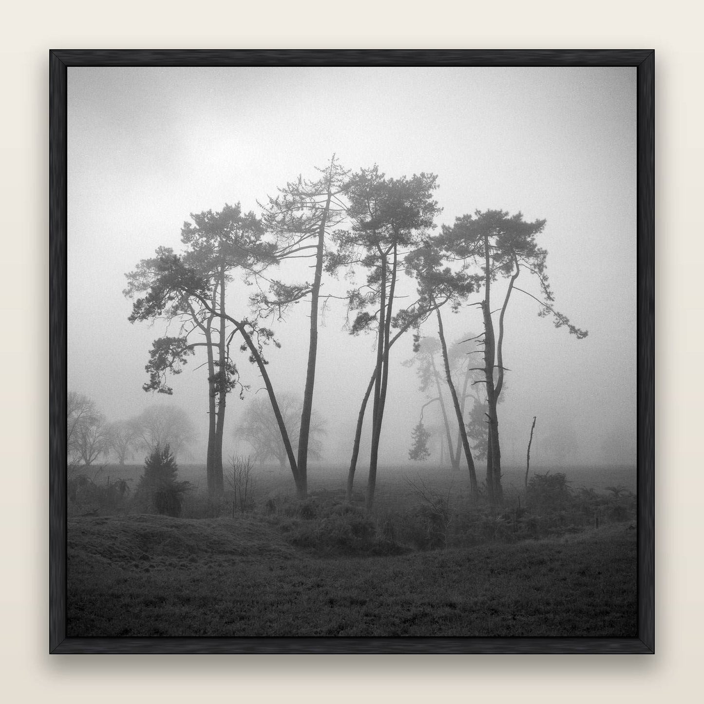 Together, Waikato — framed metallic canvas print, Black frame. New Zealand fine art landscape wall art by Stephen Milner.