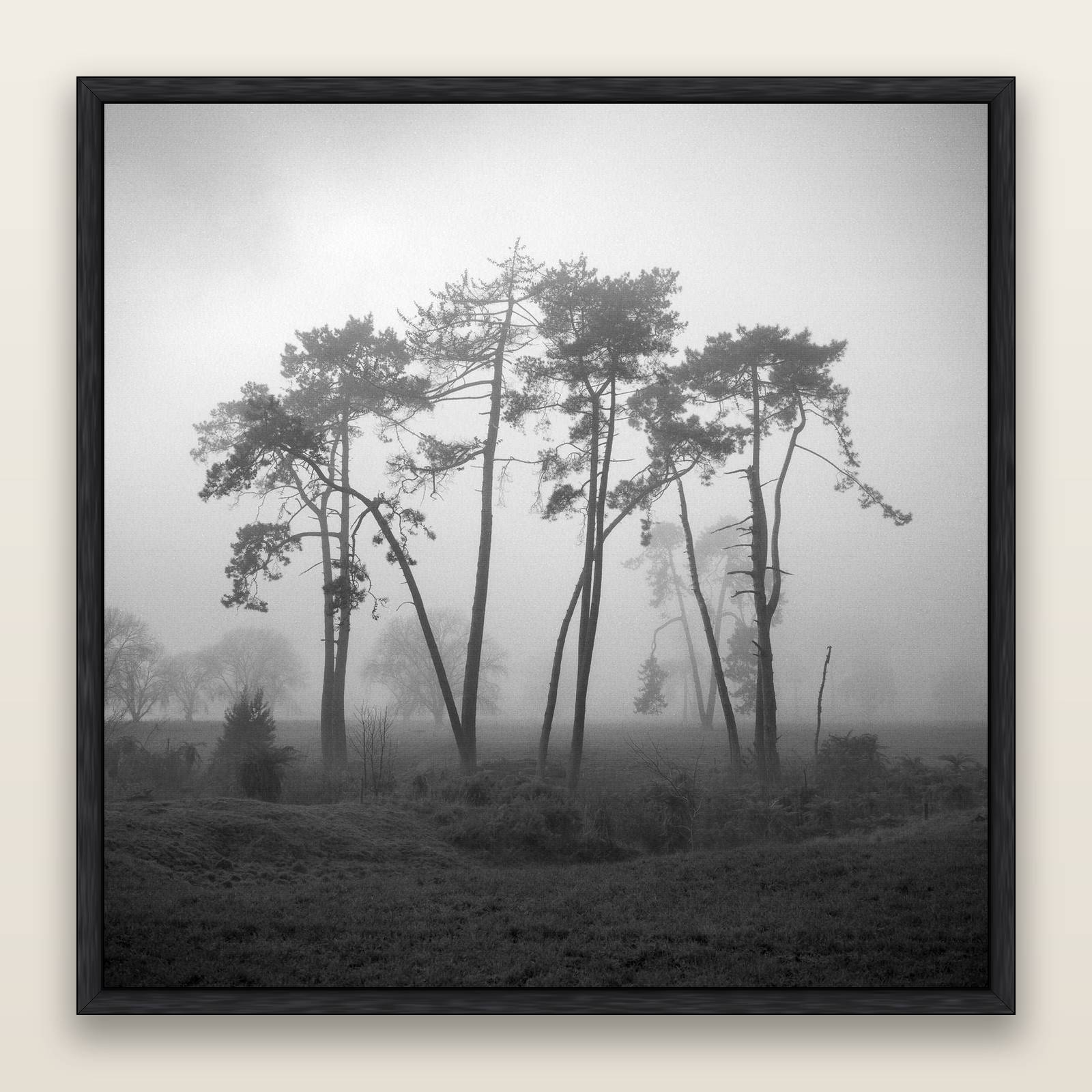 Together, Waikato, framed metallic canvas print, Black frame. New Zealand fine art landscape wall art by Stephen Milner.