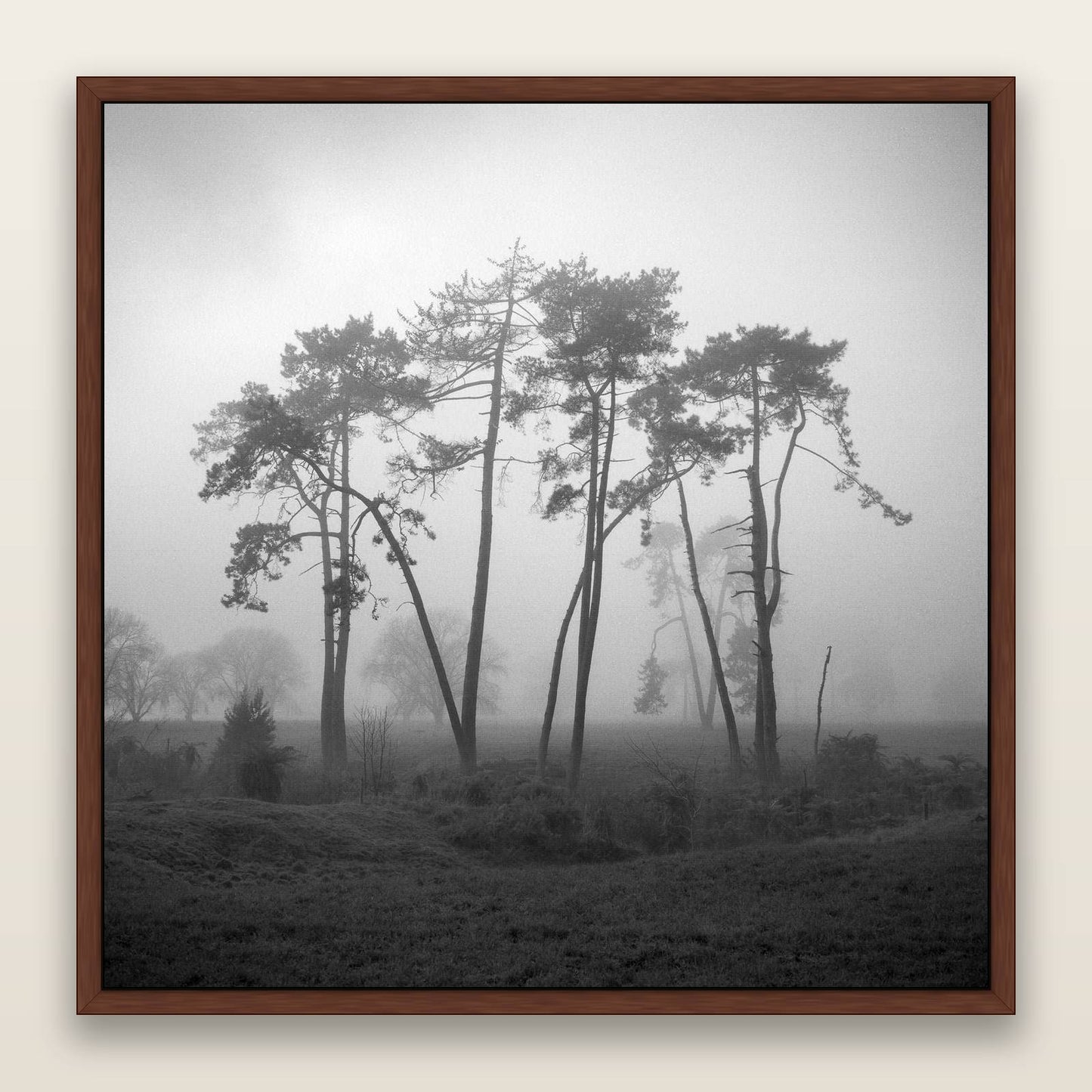 Together, Waikato — framed metallic canvas print, Brown frame. New Zealand fine art landscape wall art by Stephen Milner.