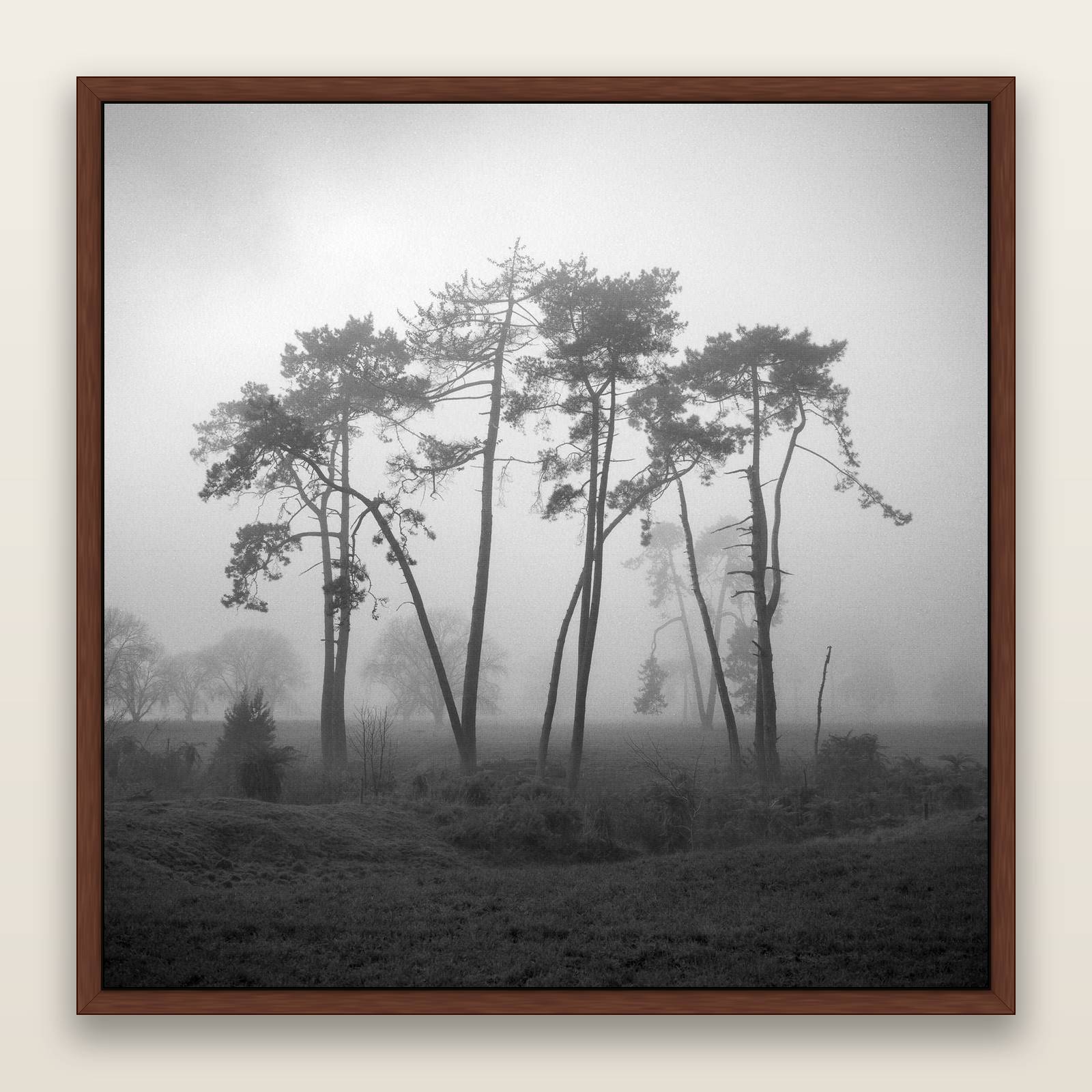 Together, Waikato, framed metallic canvas print, Brown frame. New Zealand fine art landscape wall art by Stephen Milner.