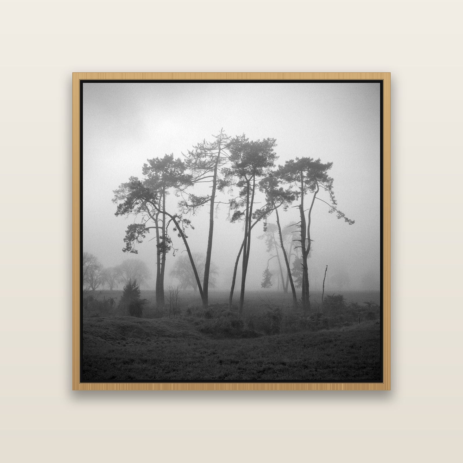 Together, Waikato — Natural framed metallic canvas print, small 41 × 41 cm. New Zealand fine art landscape wall art by Stephen Milner.