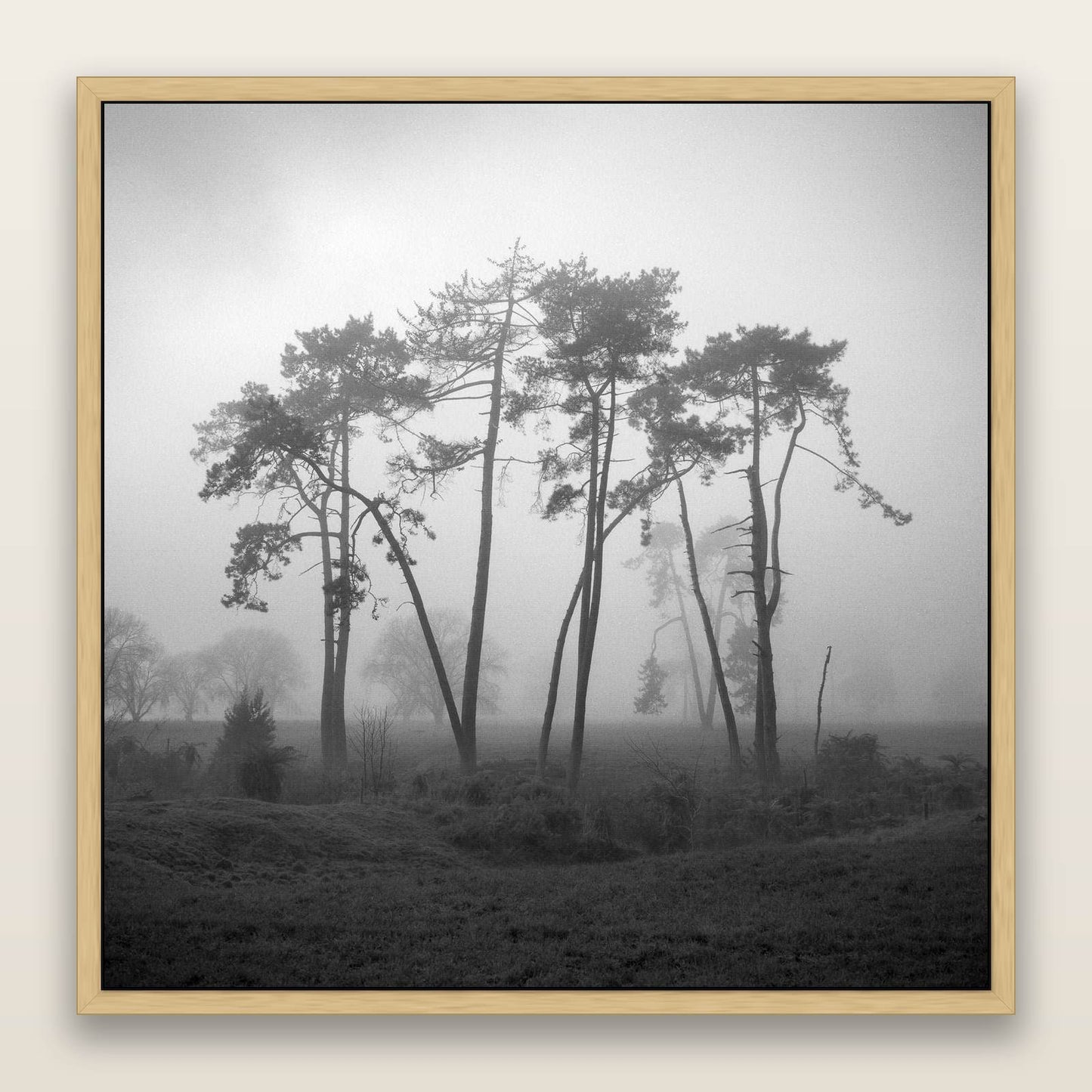 Together, Waikato — framed metallic canvas print, Natural frame. New Zealand fine art landscape wall art by Stephen Milner.