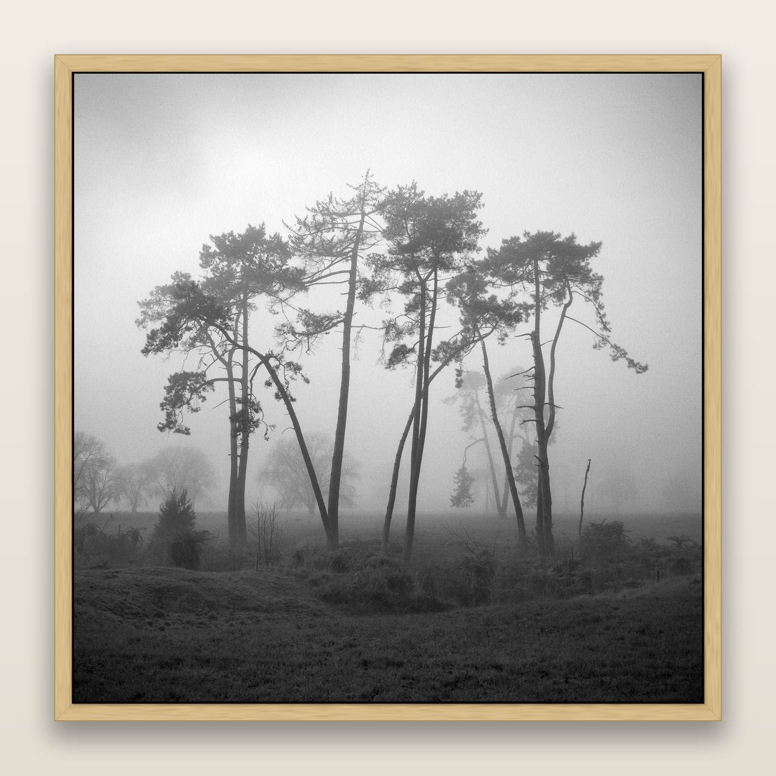 Together, Waikato, framed metallic canvas print, Natural frame. New Zealand fine art landscape wall art by Stephen Milner.
