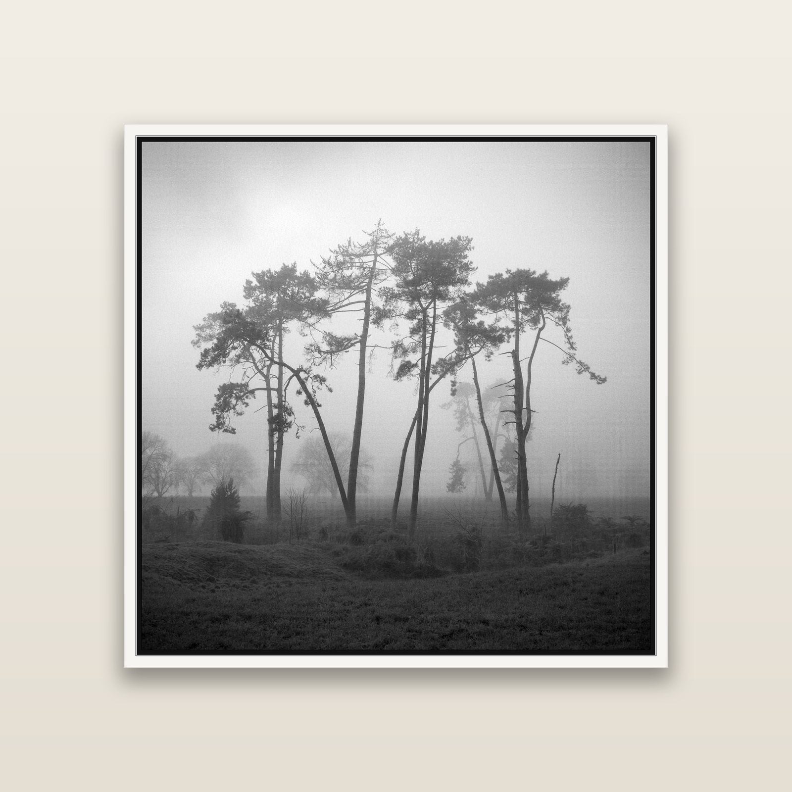 Together, Waikato — White framed metallic canvas print, small 41 × 41 cm. New Zealand fine art landscape wall art by Stephen Milner.