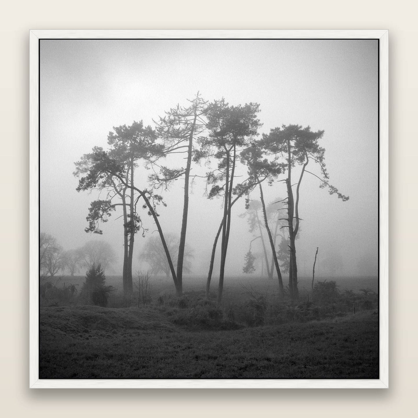 Together, Waikato — framed metallic canvas print, White frame. New Zealand fine art landscape wall art by Stephen Milner.