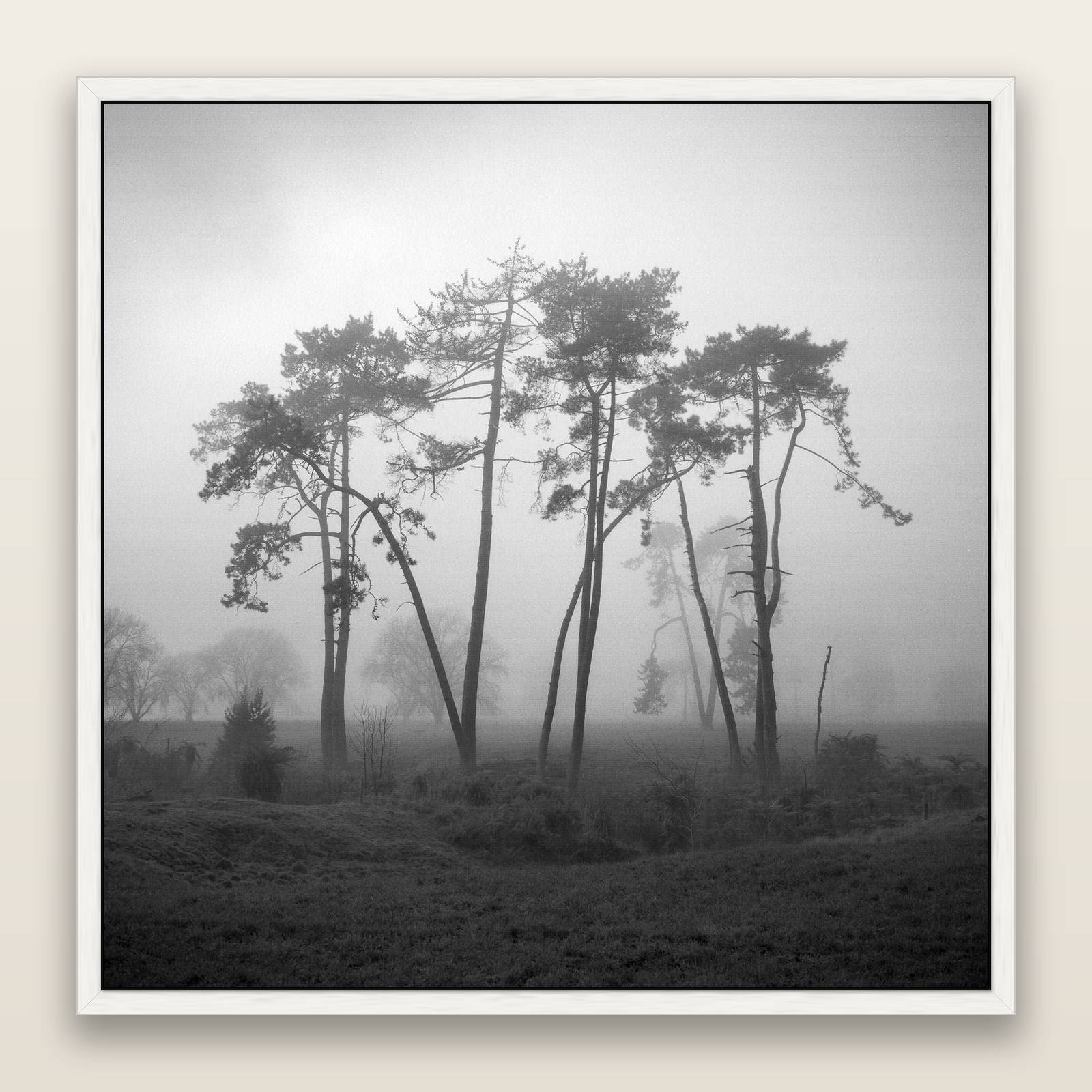 Together, Waikato, framed metallic canvas print, White frame. New Zealand fine art landscape wall art by Stephen Milner.