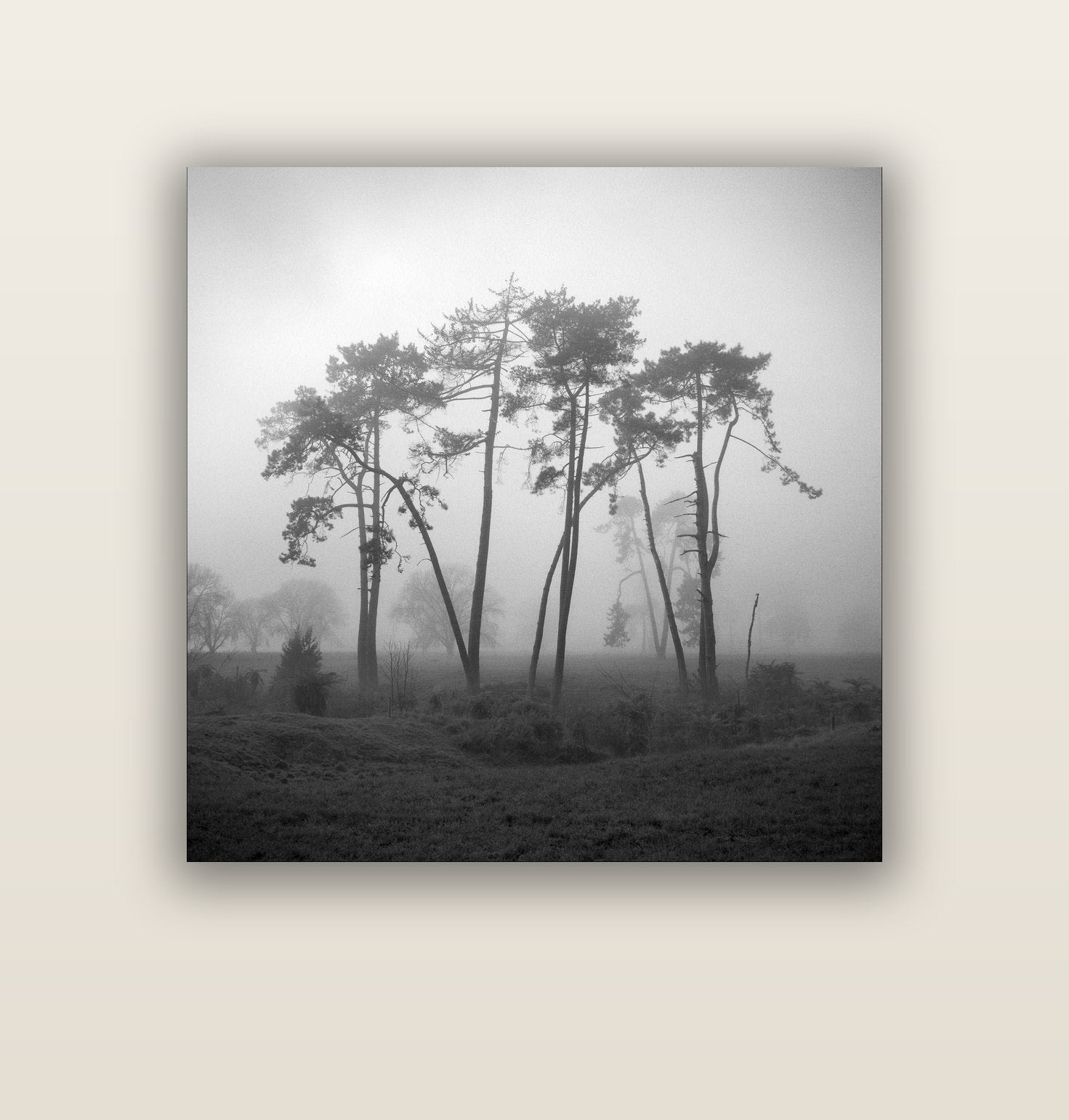 Together, Waikato — acrylic glass print, 112 × 112 cm. New Zealand fine art landscape wall art by Stephen Milner.