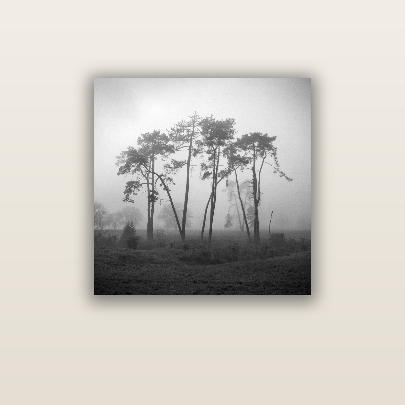 Together, Waikato — acrylic glass print, 76 × 76 cm. New Zealand fine art landscape wall art by Stephen Milner.