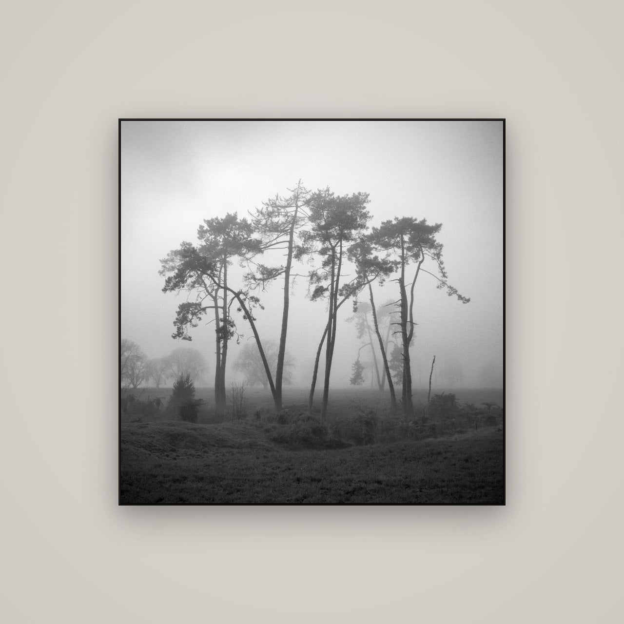 Together, Waikato — ArtBox Black, 100×100 cm. New Zealand fine art wall art by Stephen Milner.