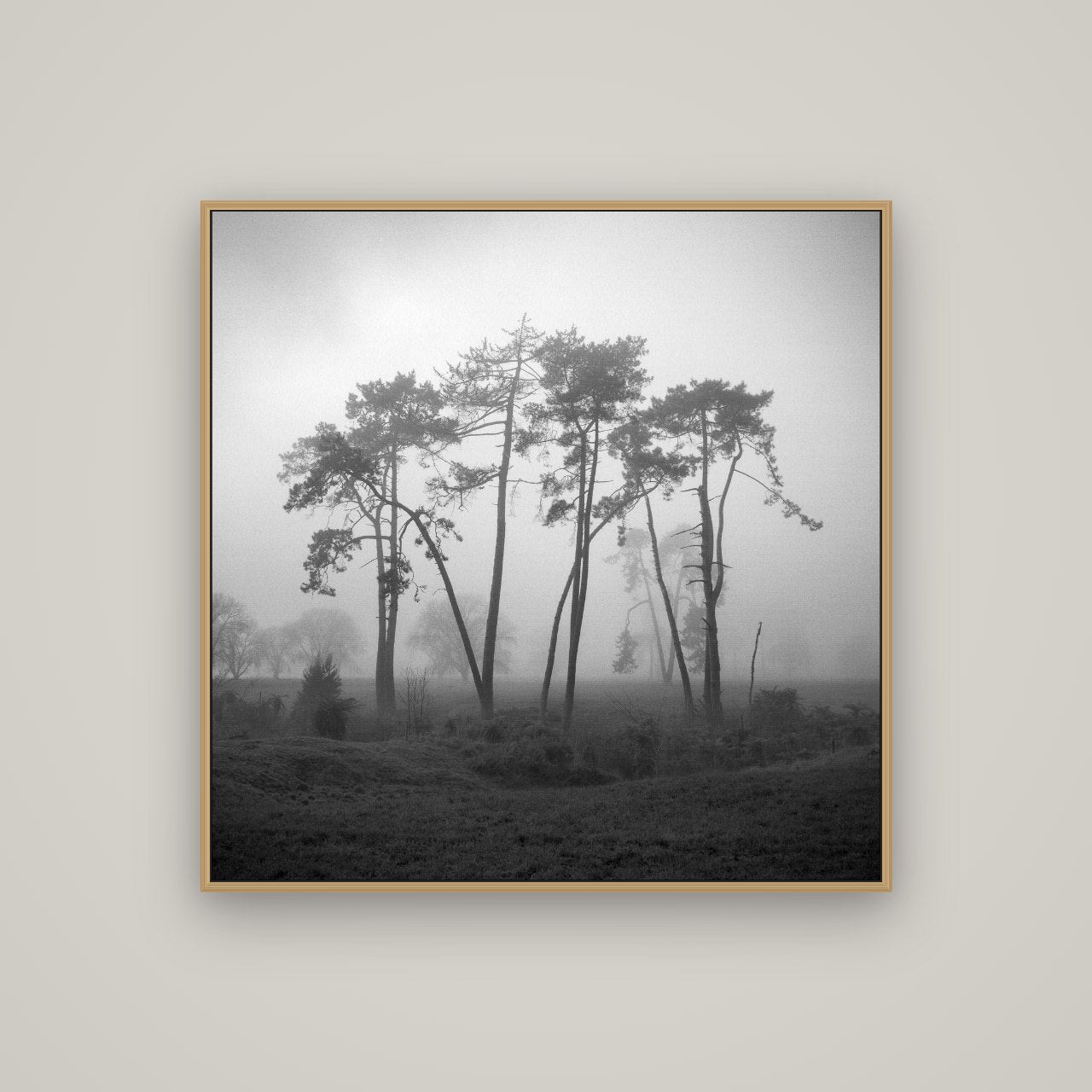 Together, Waikato, Basel Natural Oak, 100×100 cm. New Zealand fine art wall art by Stephen Milner.
