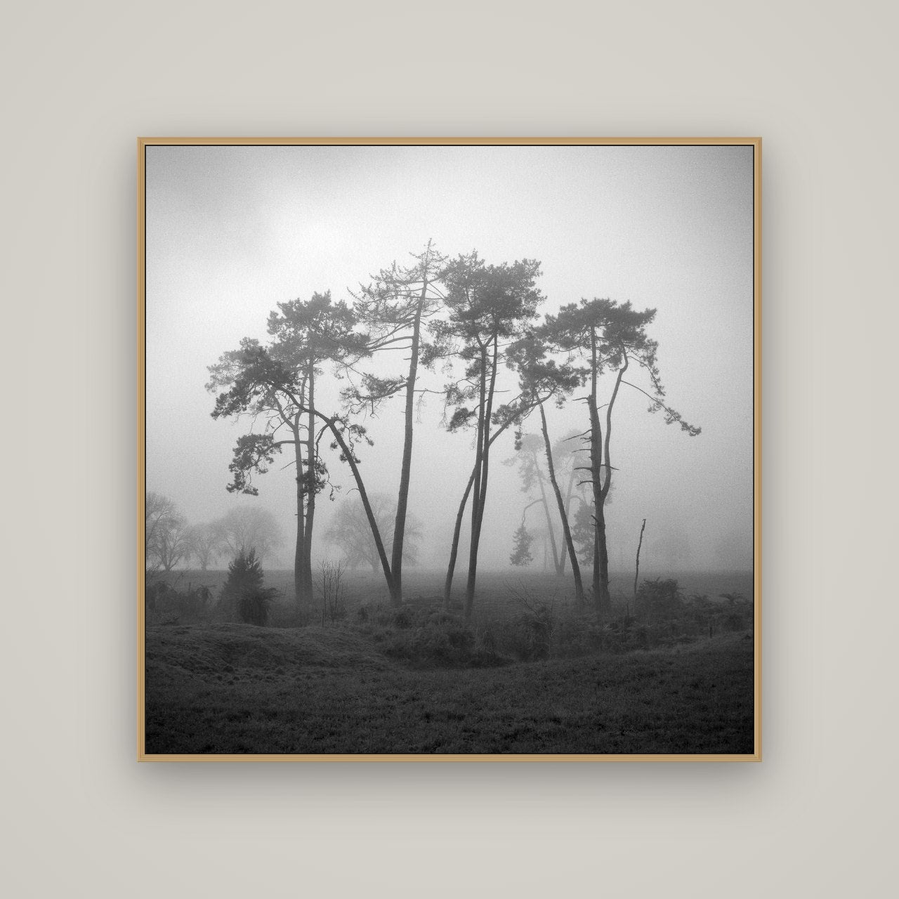 Together, Waikato, Basel Natural Oak, 120×120 cm. New Zealand fine art wall art by Stephen Milner.
