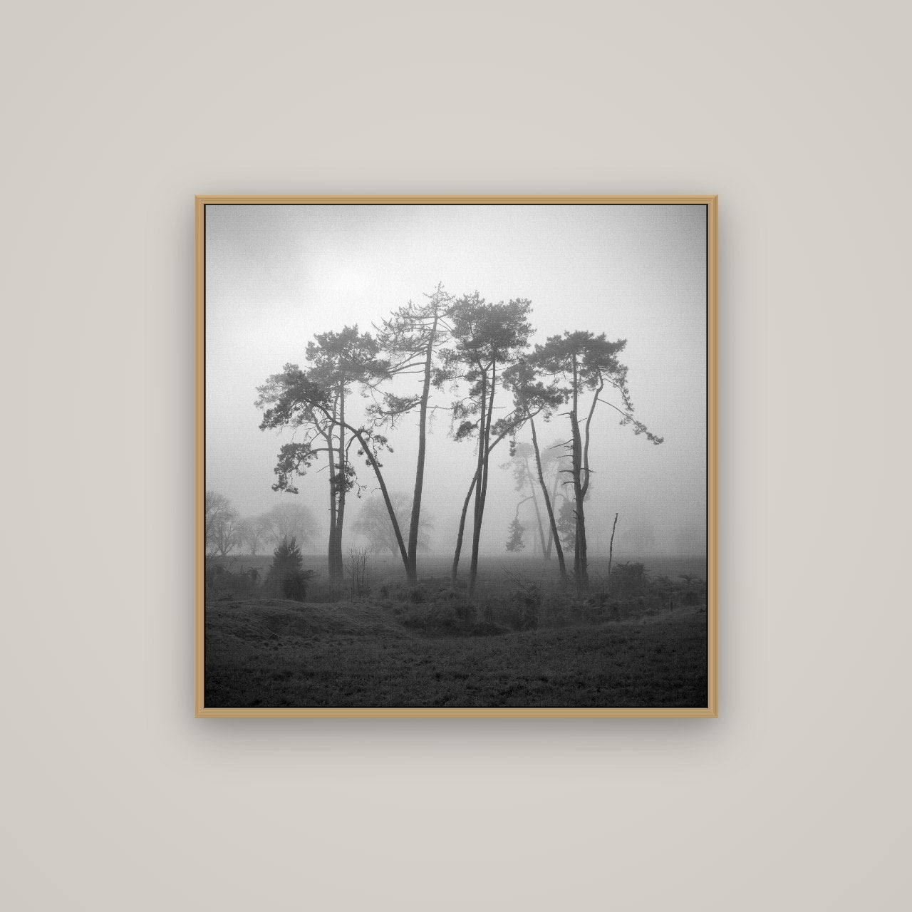 Together, Waikato, Basel Natural Oak, 80×80 cm. New Zealand fine art wall art by Stephen Milner.