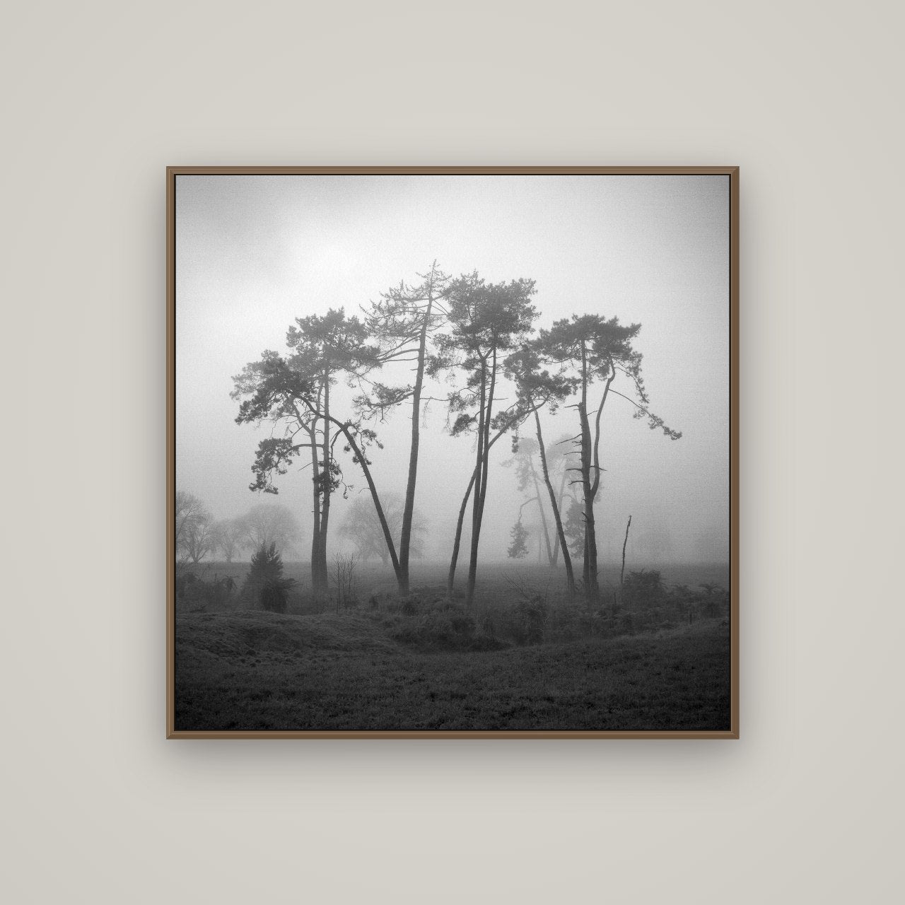 Together, Waikato, Basel Walnut, 100×100 cm. New Zealand fine art wall art by Stephen Milner.