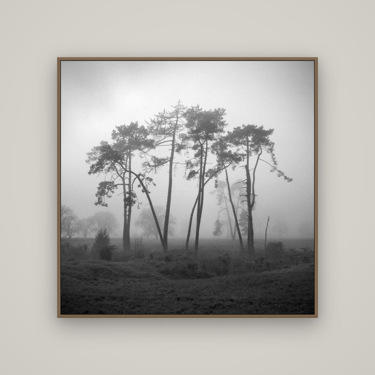 Together, Waikato, Basel Walnut, 120×120 cm. New Zealand fine art wall art by Stephen Milner.