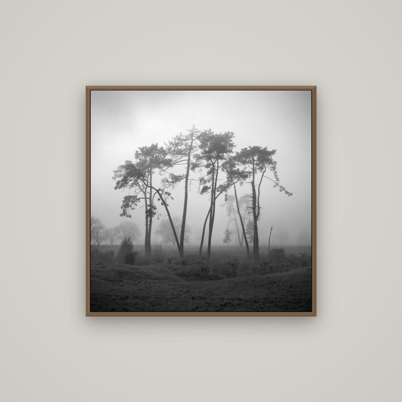 Together, Waikato, Basel Walnut, 80×80 cm. New Zealand fine art wall art by Stephen Milner.