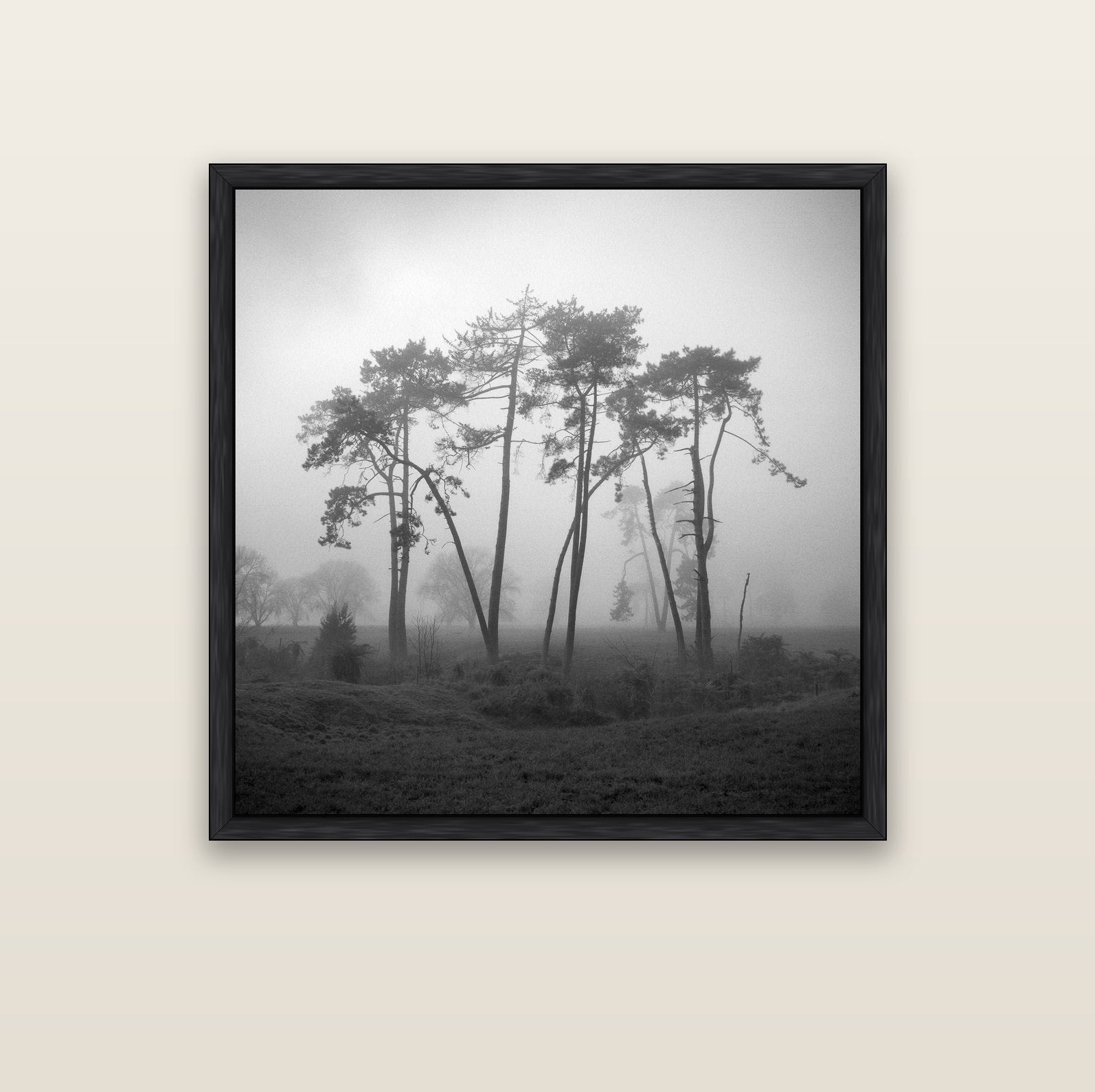 Together, Waikato — black float frame canvas, 102 × 102 cm. New Zealand fine art landscape wall art by Stephen Milner.