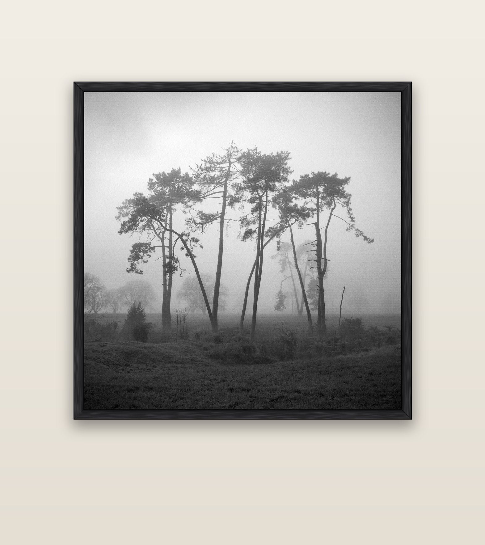 Together, Waikato — black float frame canvas, 127 × 127 cm. New Zealand fine art landscape wall art by Stephen Milner.