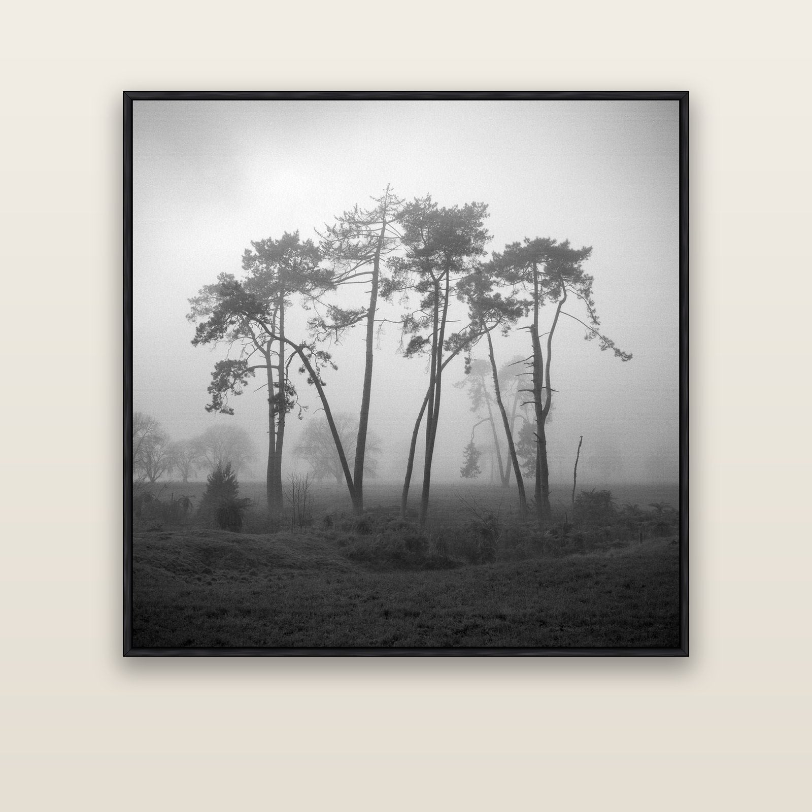 Together, Waikato — black float frame canvas, 127 × 127 cm. New Zealand fine art landscape wall art by Stephen Milner.