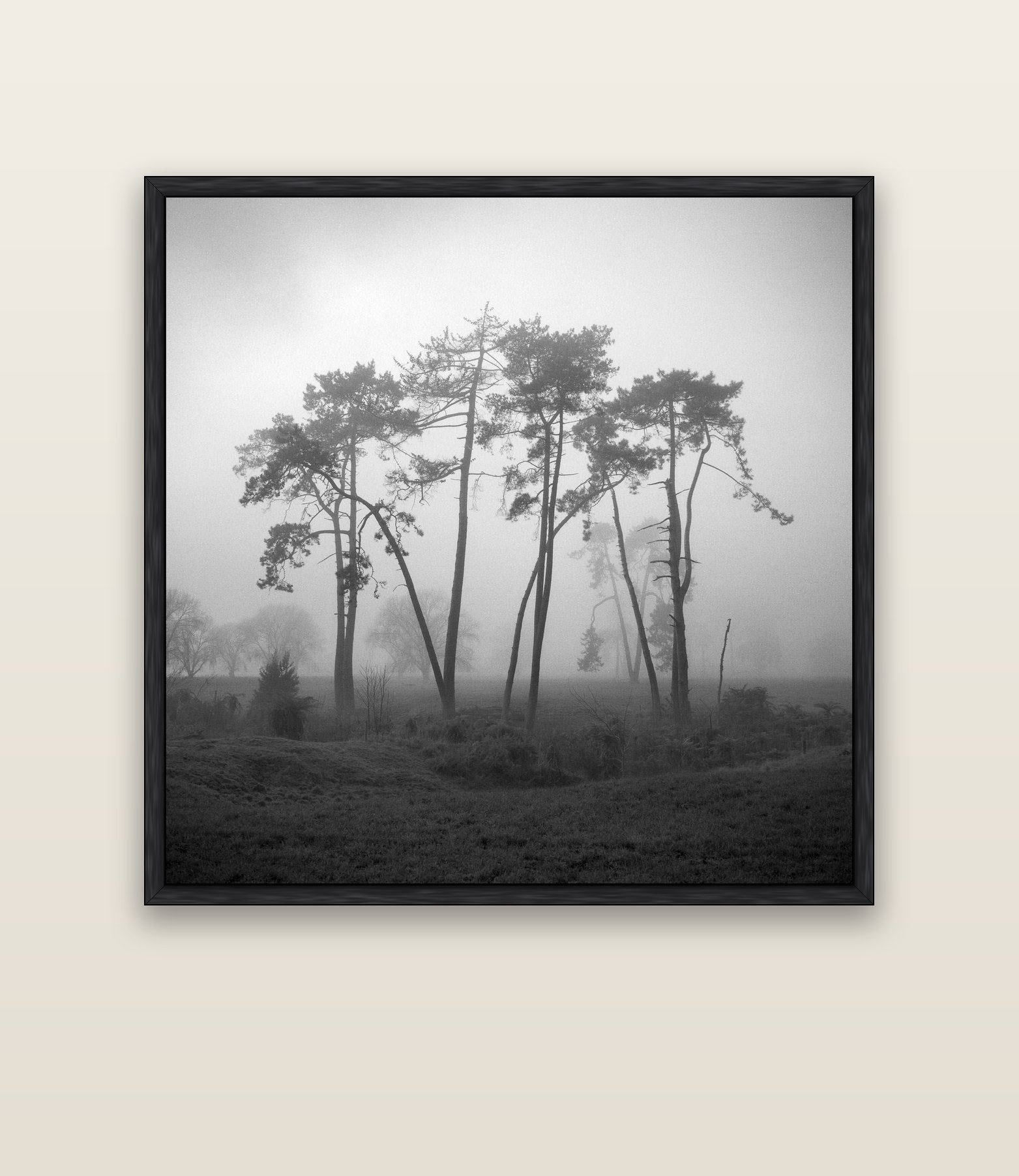 Together, Waikato — black float frame canvas, 133 × 133 cm. New Zealand fine art landscape wall art by Stephen Milner.