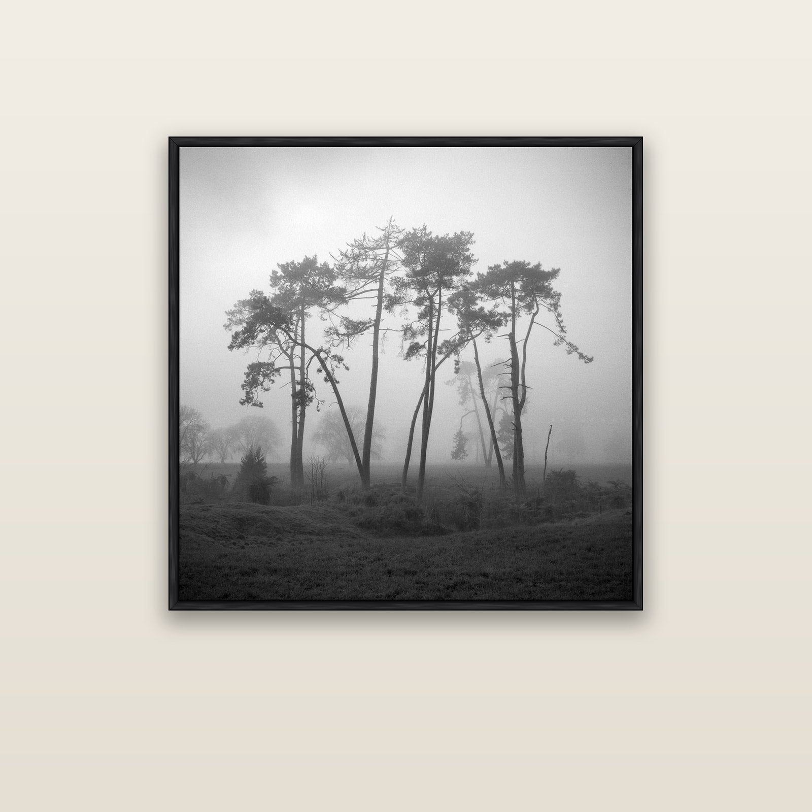 Together, Waikato — black float frame canvas, 91 × 91 cm. New Zealand fine art landscape wall art by Stephen Milner.