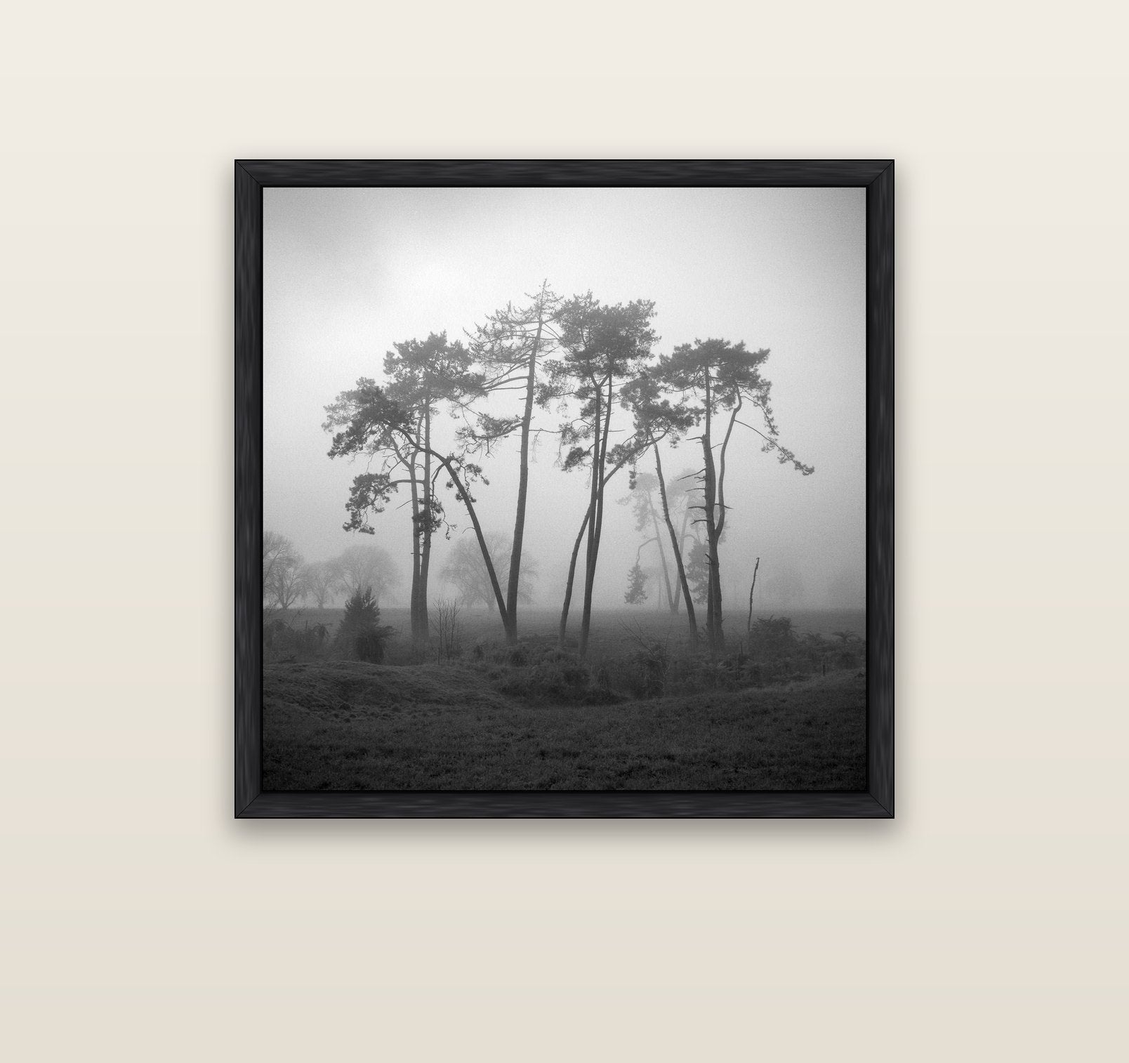 Together, Waikato — black float frame canvas, 91 × 91 cm. New Zealand fine art landscape wall art by Stephen Milner.