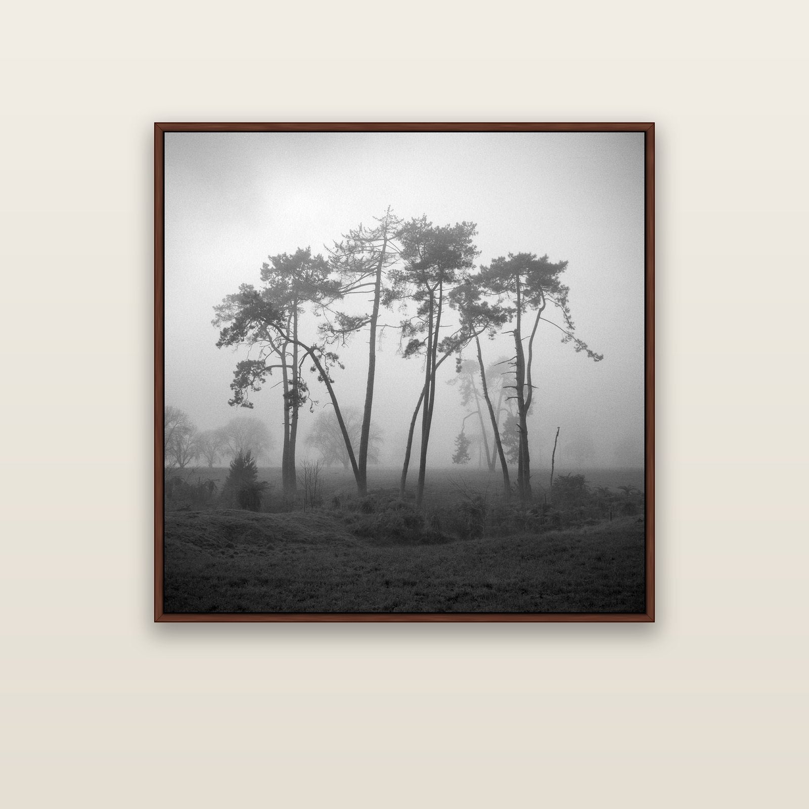 Together, Waikato — brown float frame canvas, 102 × 102 cm. New Zealand fine art landscape wall art by Stephen Milner.
