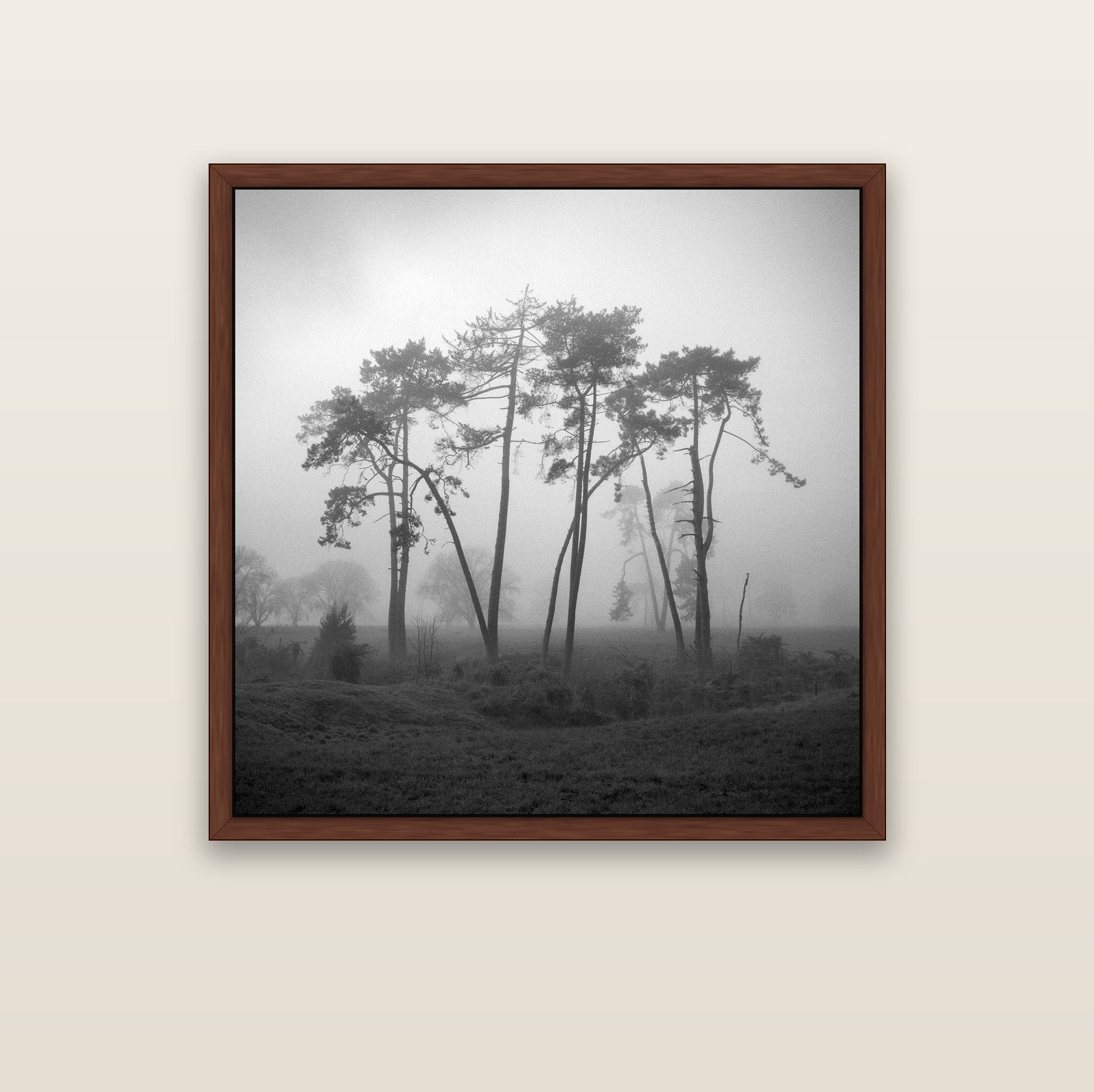 Together, Waikato — brown float frame canvas, 102 × 102 cm. New Zealand fine art landscape wall art by Stephen Milner.