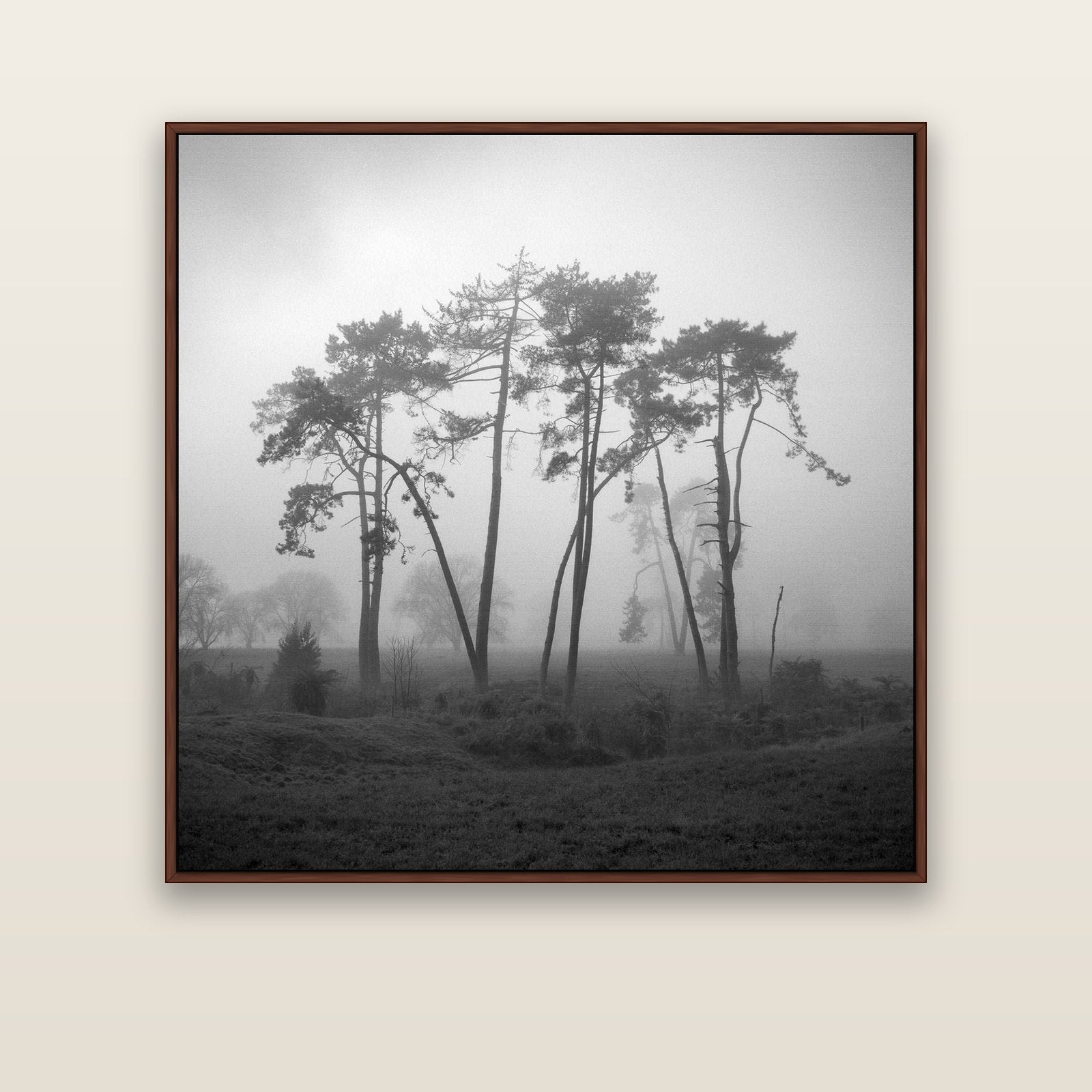 Together, Waikato — brown float frame canvas, 127 × 127 cm. New Zealand fine art landscape wall art by Stephen Milner.