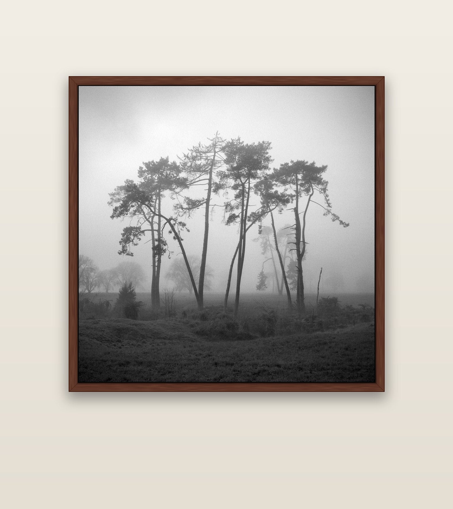 Together, Waikato — brown float frame canvas, 127 × 127 cm. New Zealand fine art landscape wall art by Stephen Milner.