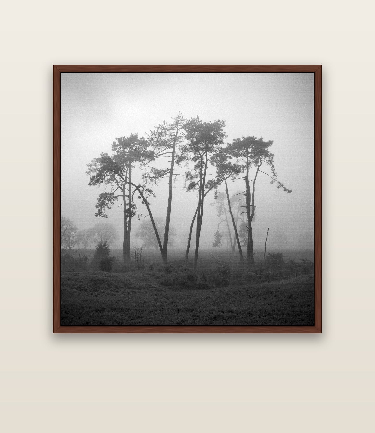 Together, Waikato — brown float frame canvas, 133 × 133 cm. New Zealand fine art landscape wall art by Stephen Milner.