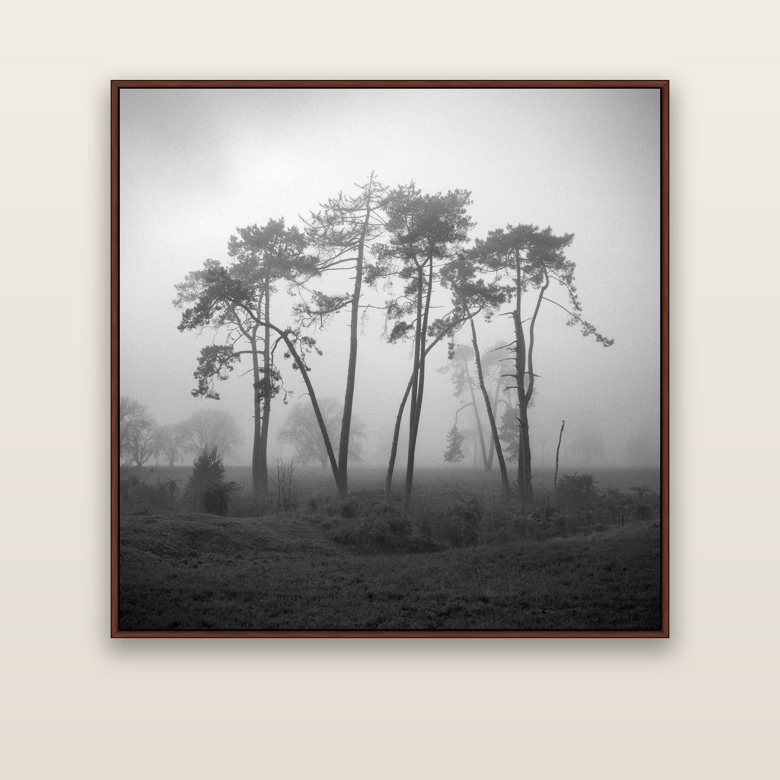 Together, Waikato — brown float frame canvas, 133 × 133 cm. New Zealand fine art landscape wall art by Stephen Milner.
