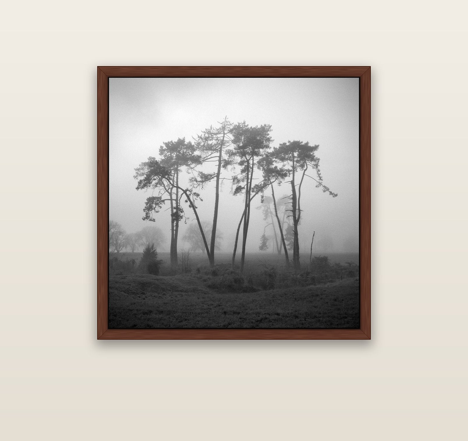 Together, Waikato — brown float frame canvas, 91 × 91 cm. New Zealand fine art landscape wall art by Stephen Milner.
