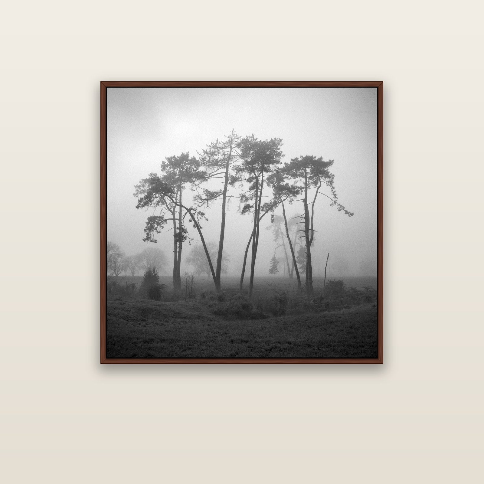 Together, Waikato — brown float frame canvas, 91 × 91 cm. New Zealand fine art landscape wall art by Stephen Milner.