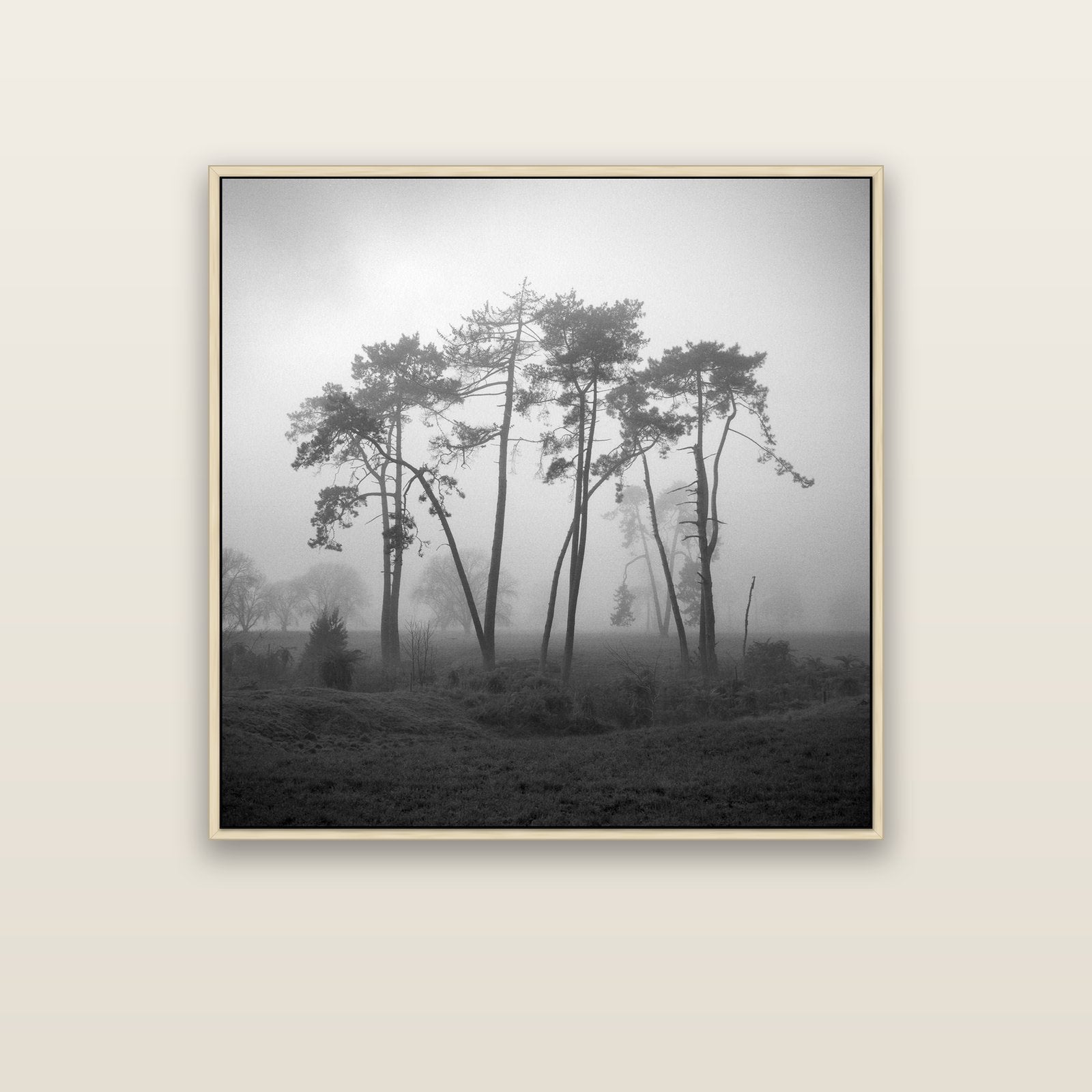 Together, Waikato — natural float frame canvas, 102 × 102 cm. New Zealand fine art landscape wall art by Stephen Milner.