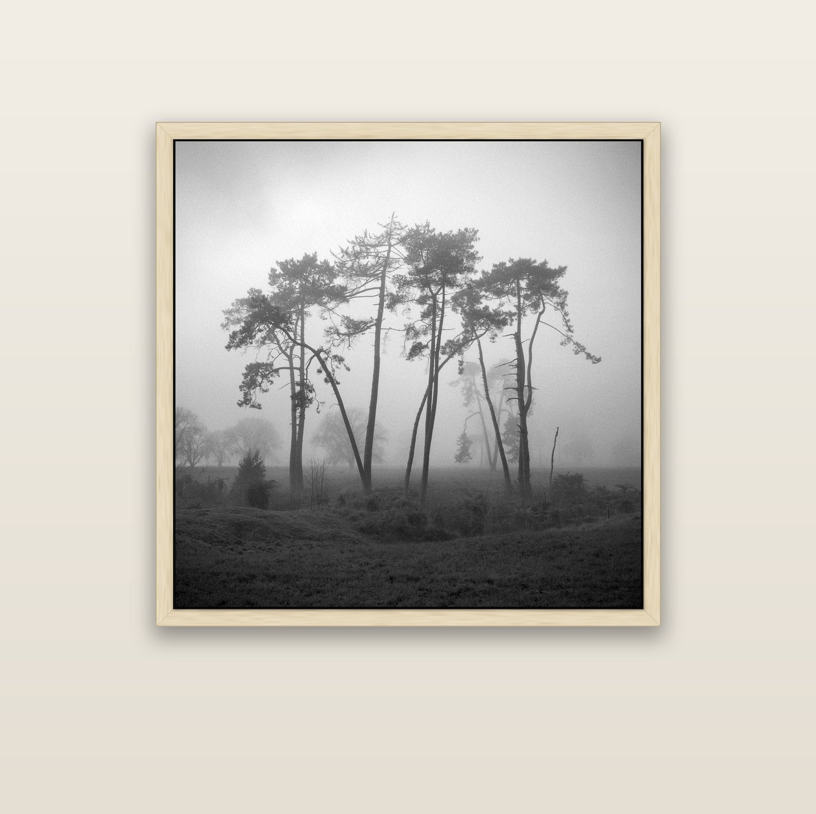 Together, Waikato — natural float frame canvas, 102 × 102 cm. New Zealand fine art landscape wall art by Stephen Milner.